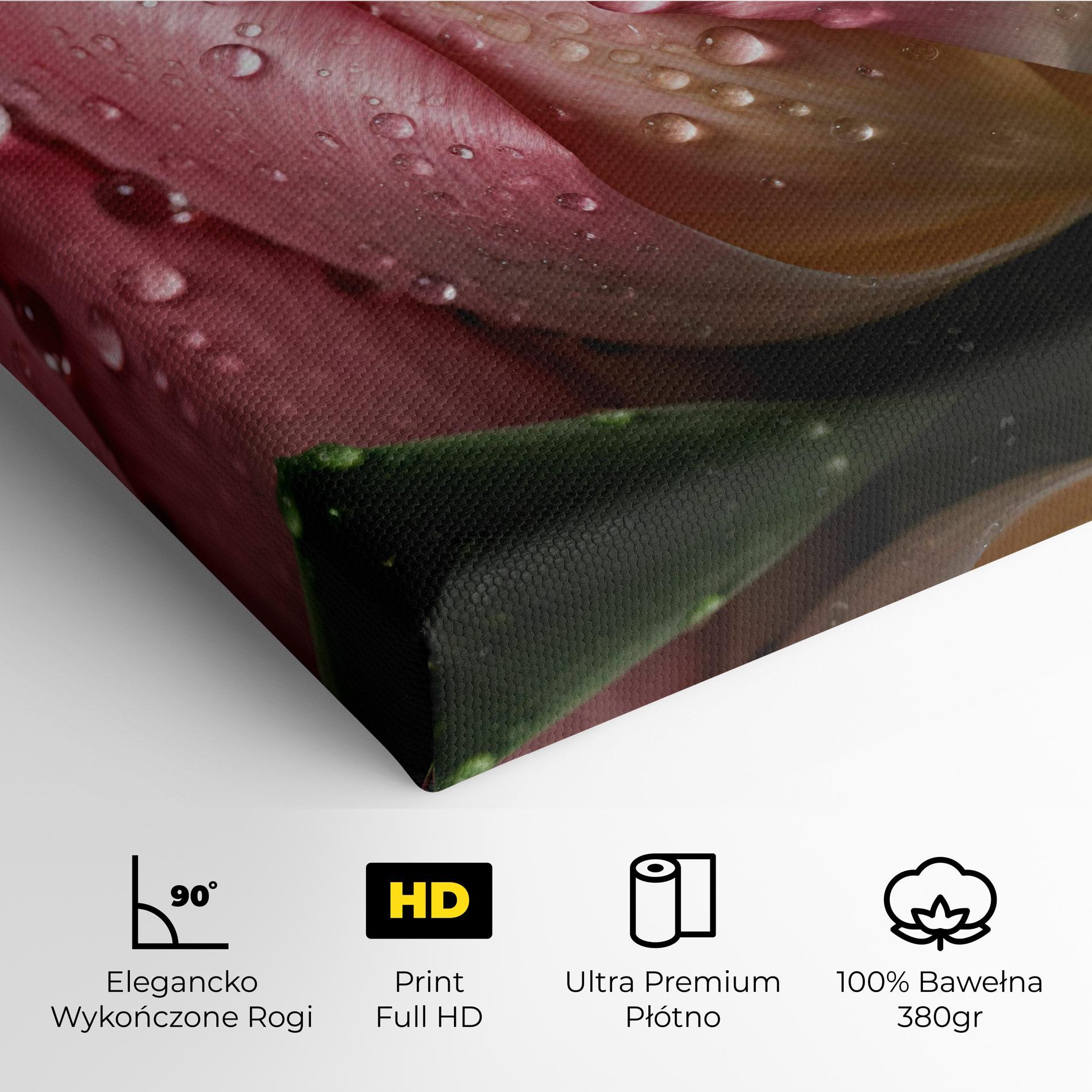 Obraz na Płótnie Pink Tulip With Drops mockup 4