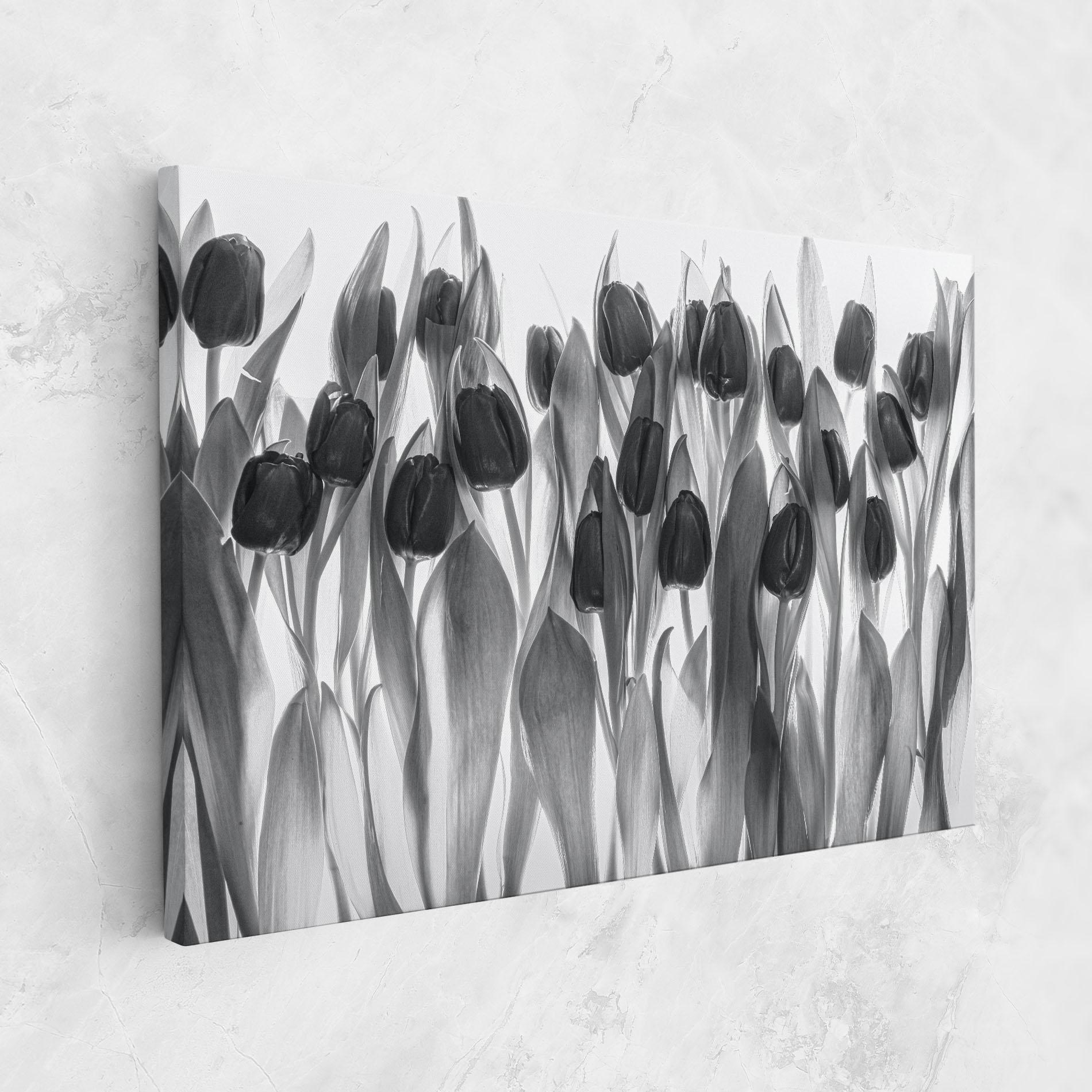 Obraz na Płótnie Grey Tulips mockup 1