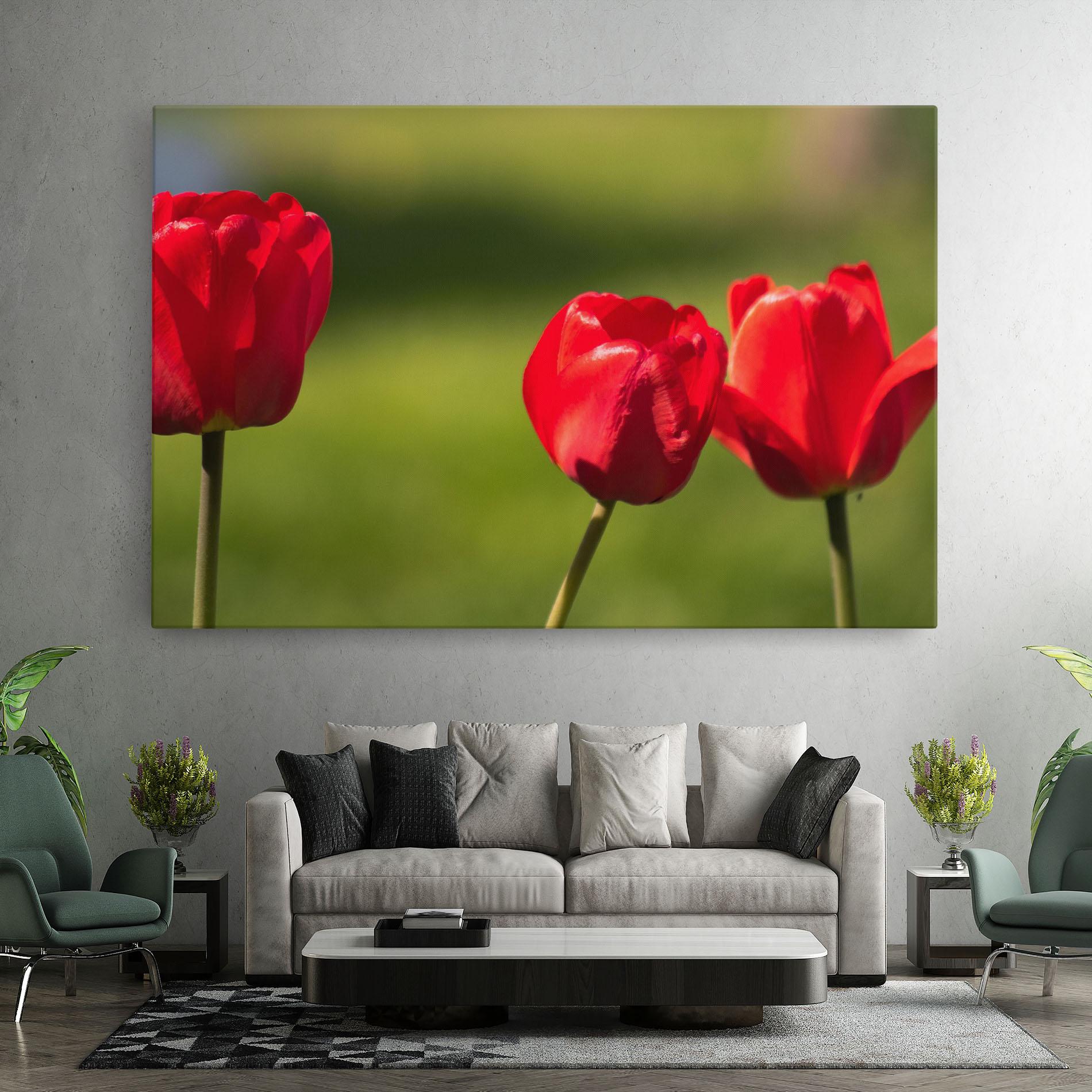 Obraz na Płótnie 3 Red Tulips mockup 7