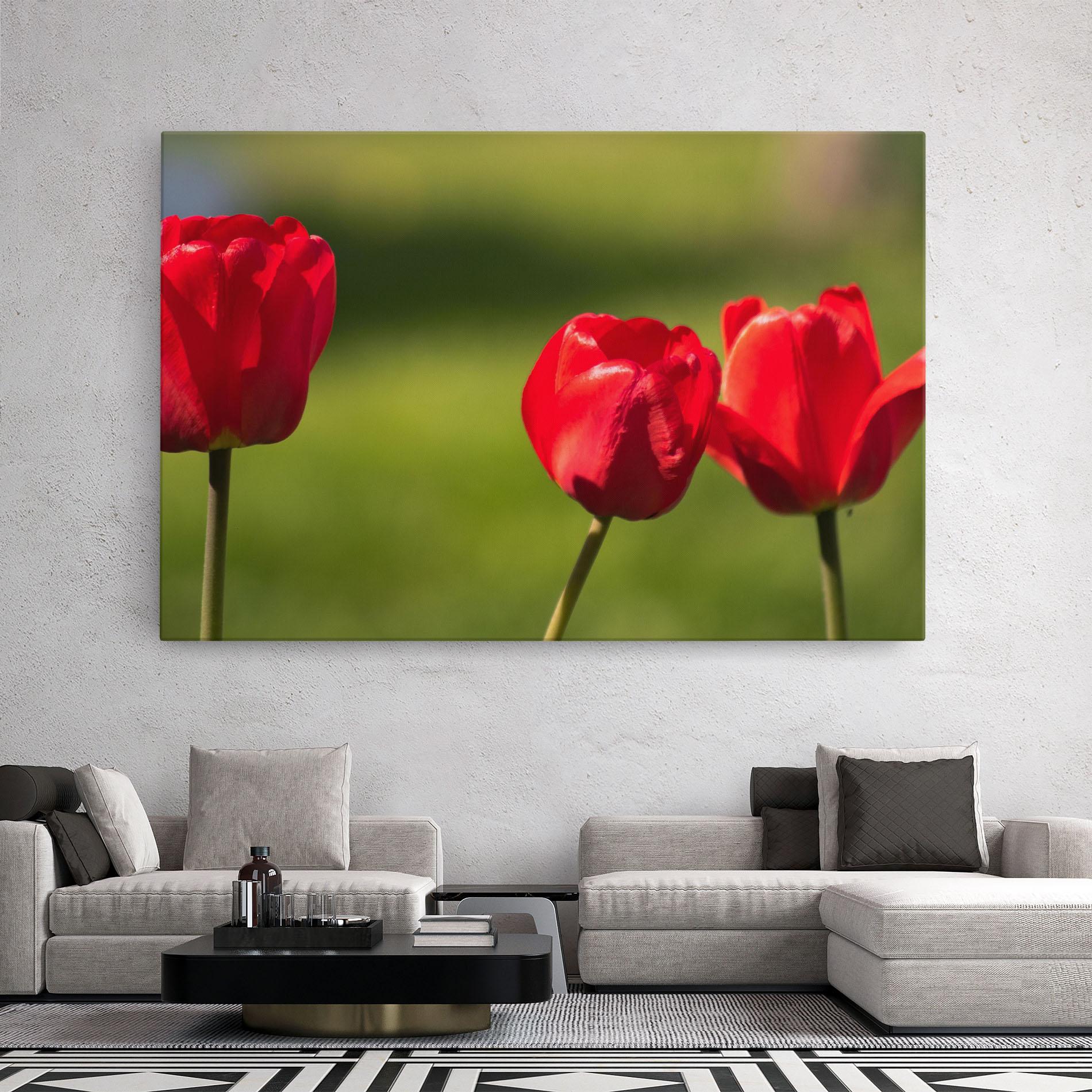 Obraz na Płótnie 3 Red Tulips mockup 2