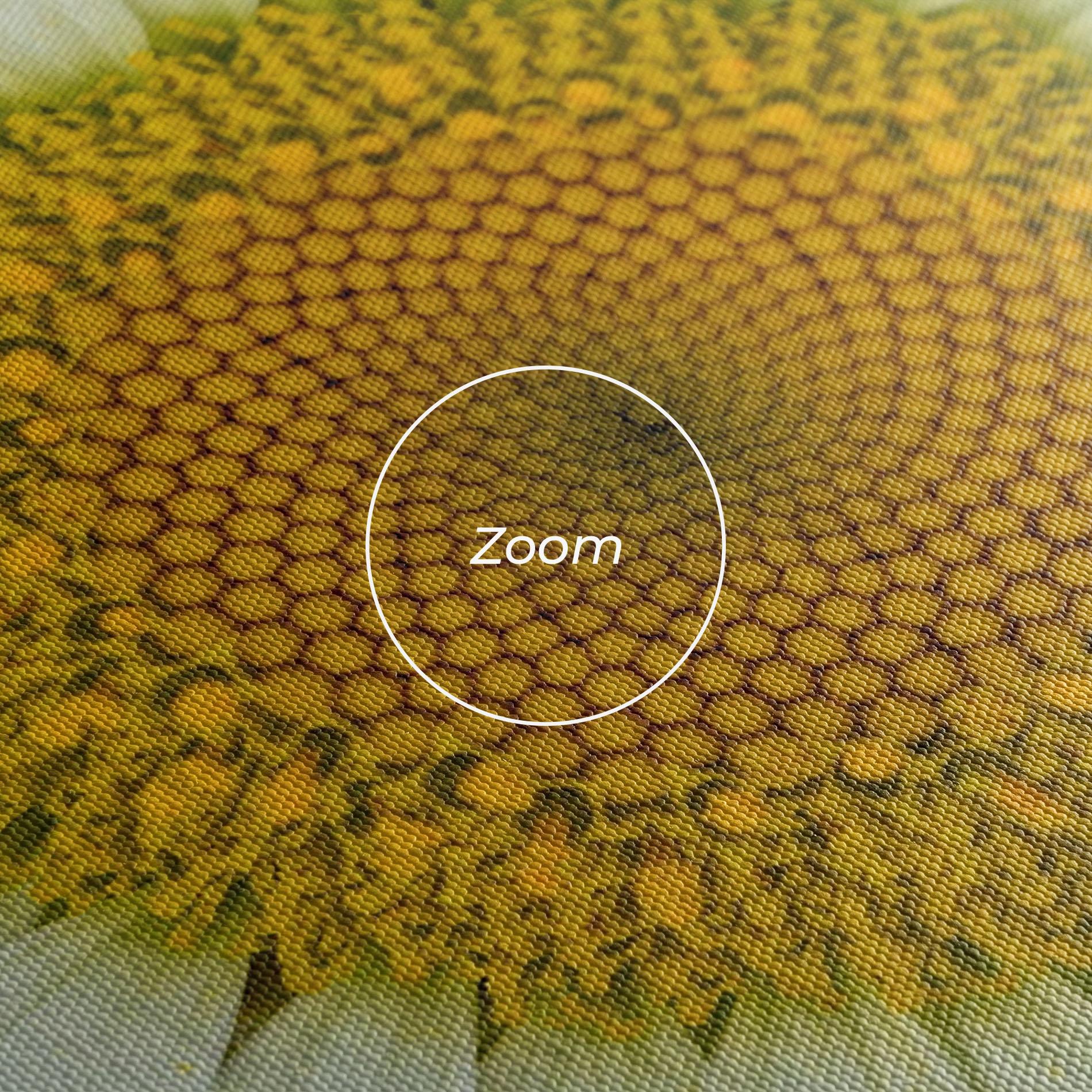 Obraz na Płótnie Daisy Close Up mockup 3