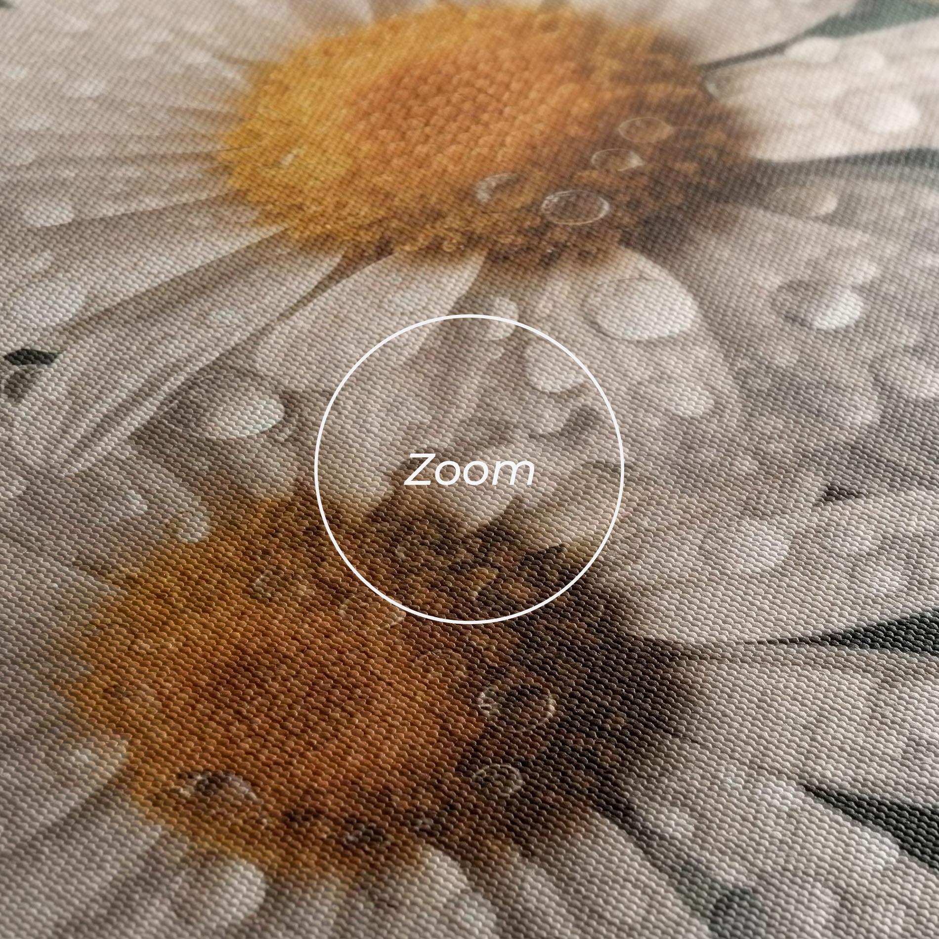 Obraz na Płótnie Daisy View After Rain mockup 3