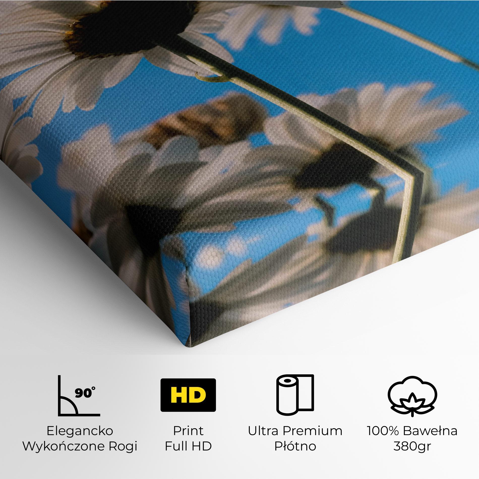 Obraz na Płótnie Blue Sky Daisy mockup 4