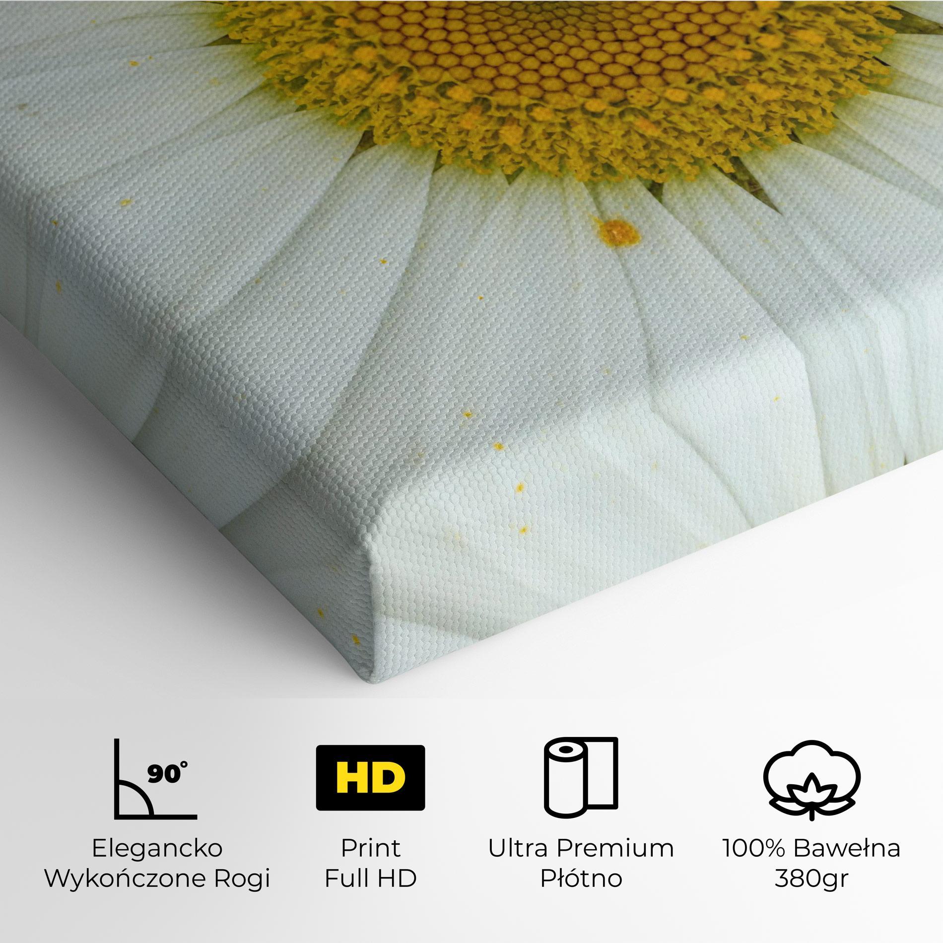 Obraz na Płótnie Daisy Close Up mockup 4