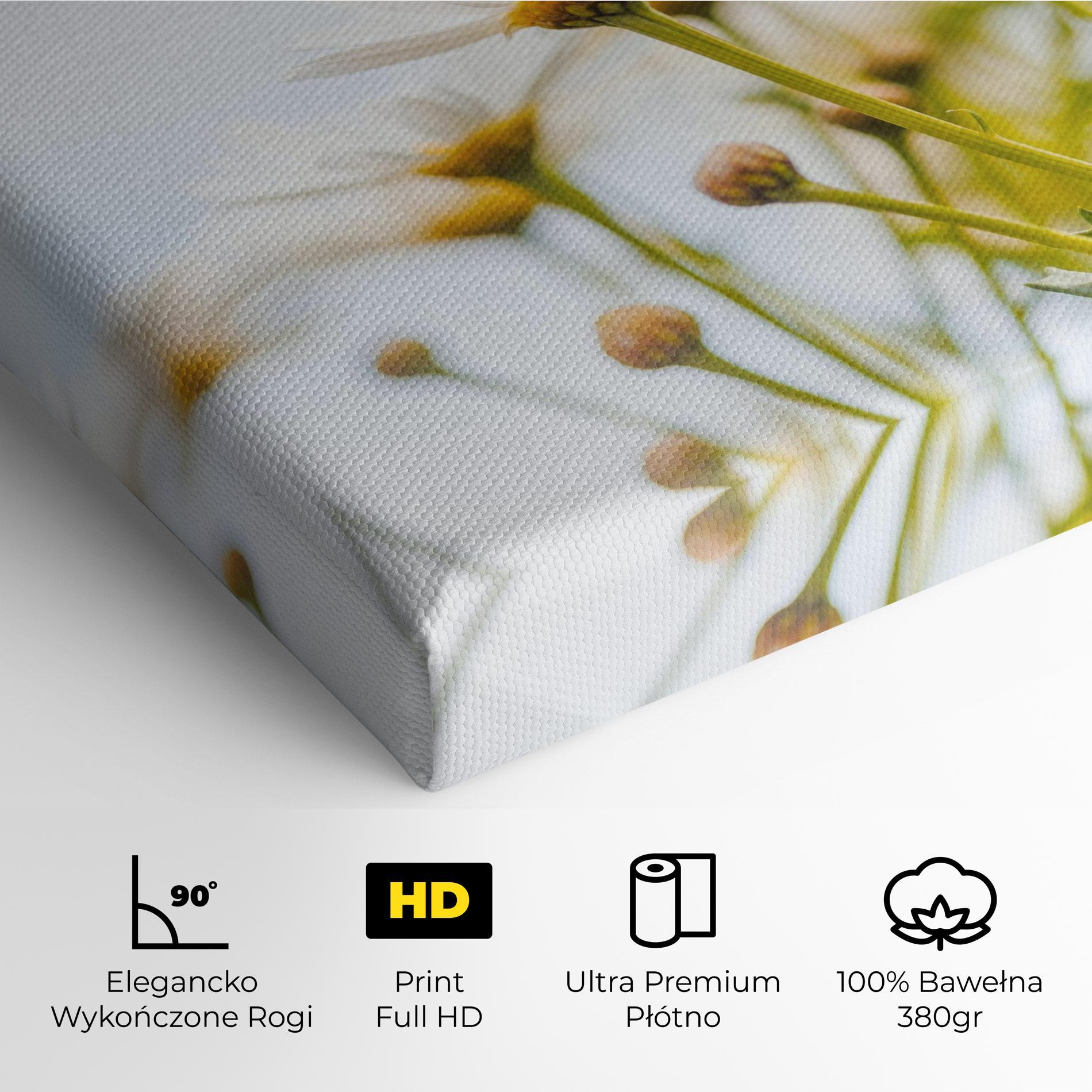 Obraz na Płótnie Dreamy Daisy mockup 4