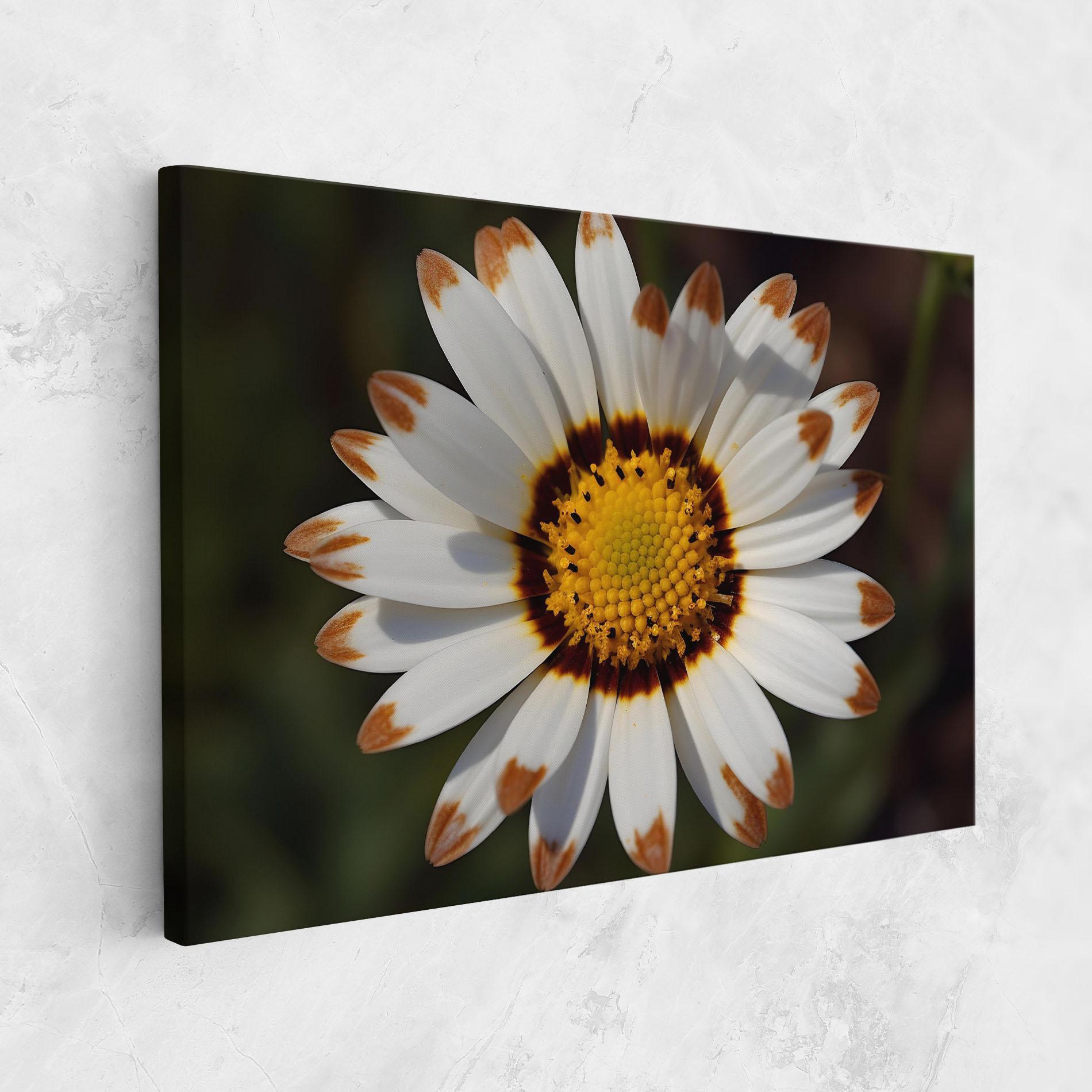 Obraz na Płótnie White Brown Daisy mockup 1
