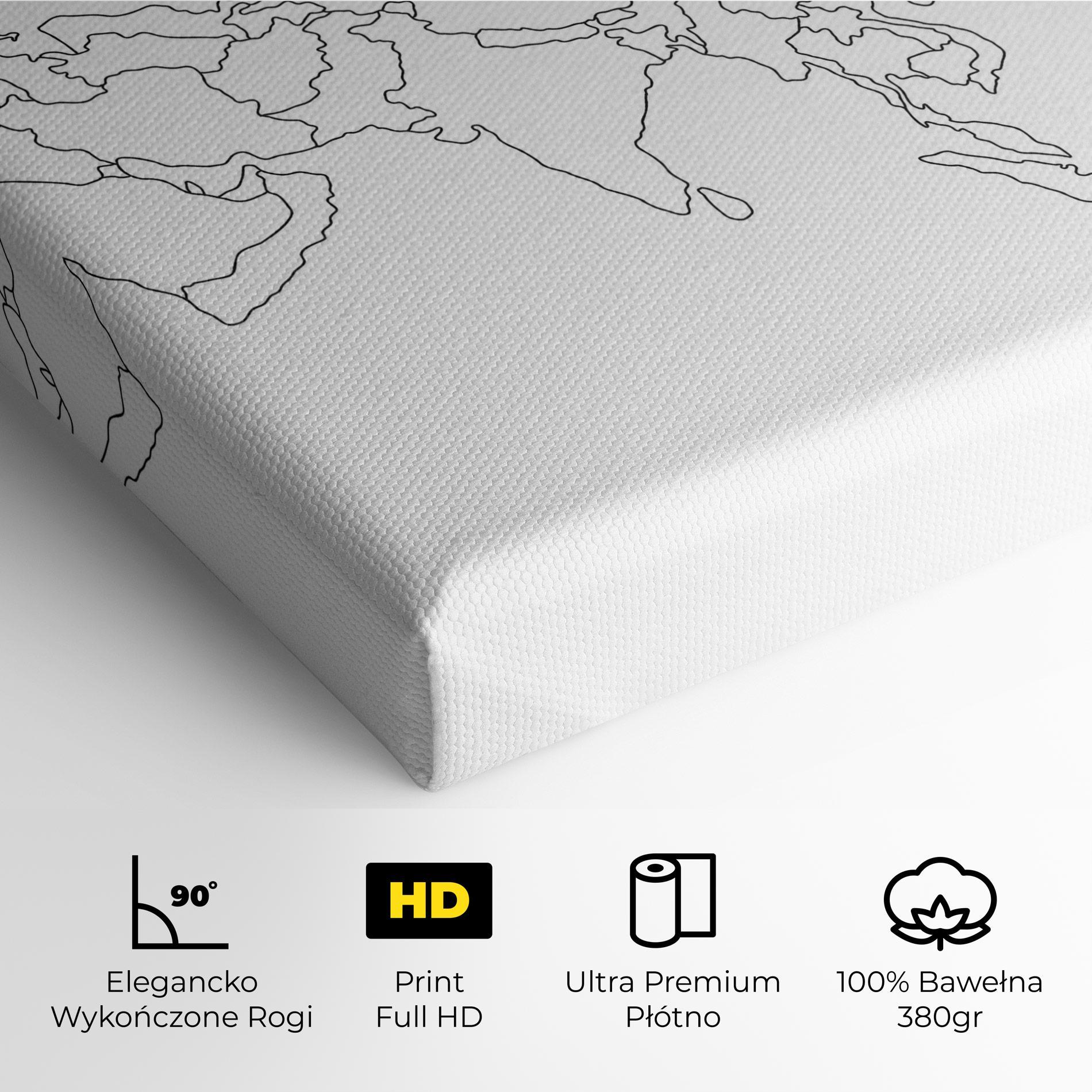 Obraz na Płótnie Asia Map Line mockup 4