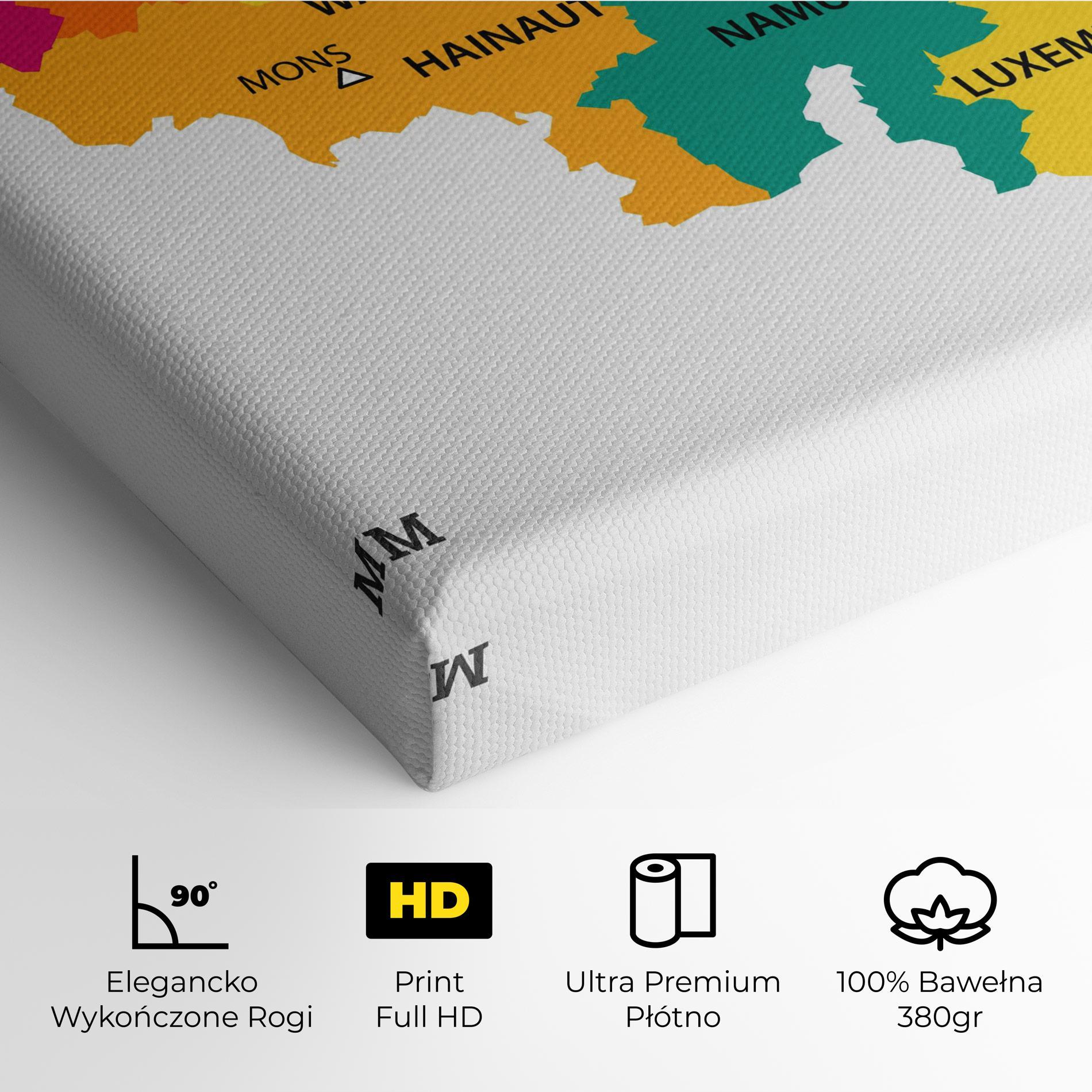 Obraz na Płótnie Belgium Color Map mockup 4