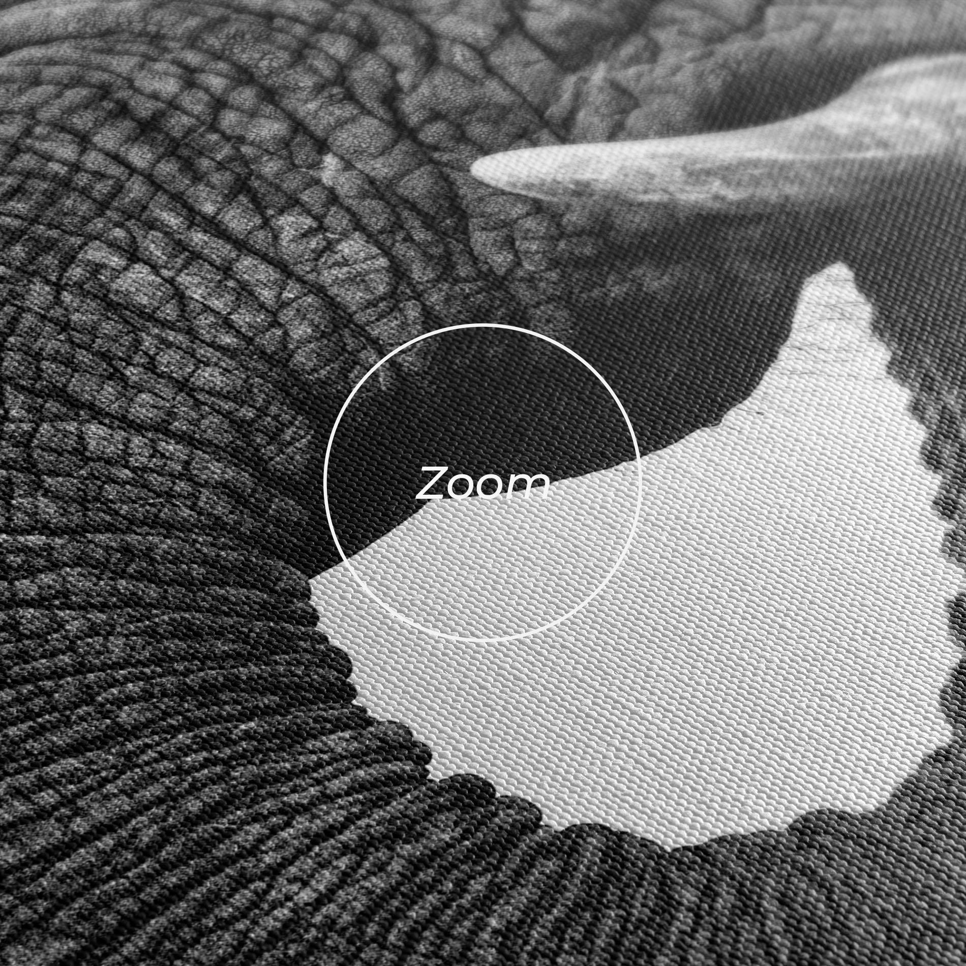 Obraz na Płótnie Elephant Drinking mockup 3