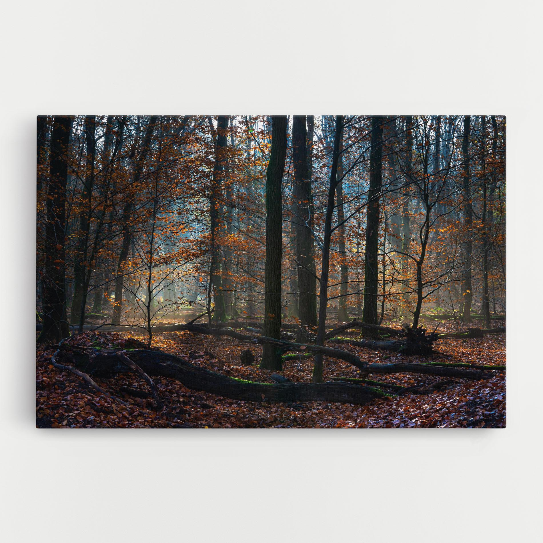 Obraz na Płótnie Forest Autumn Day mockup 0