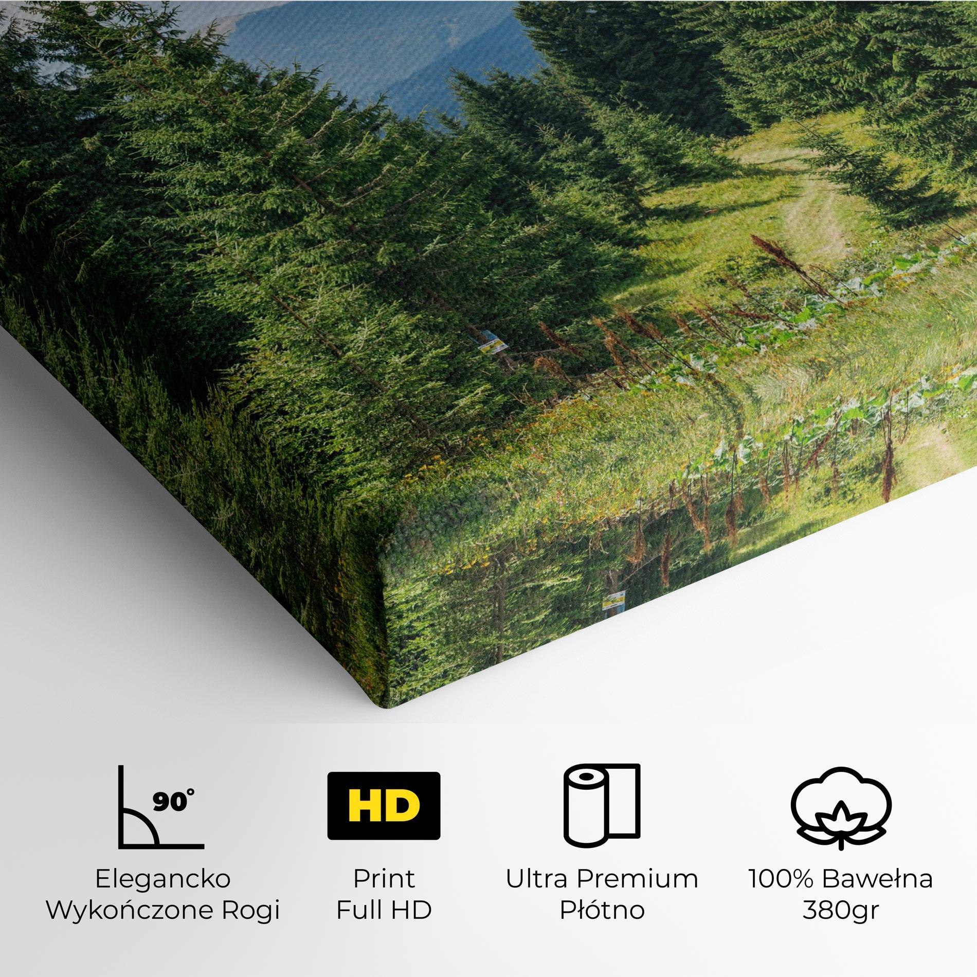 Obraz na Płótnie Carpathian Mountain mockup 4
