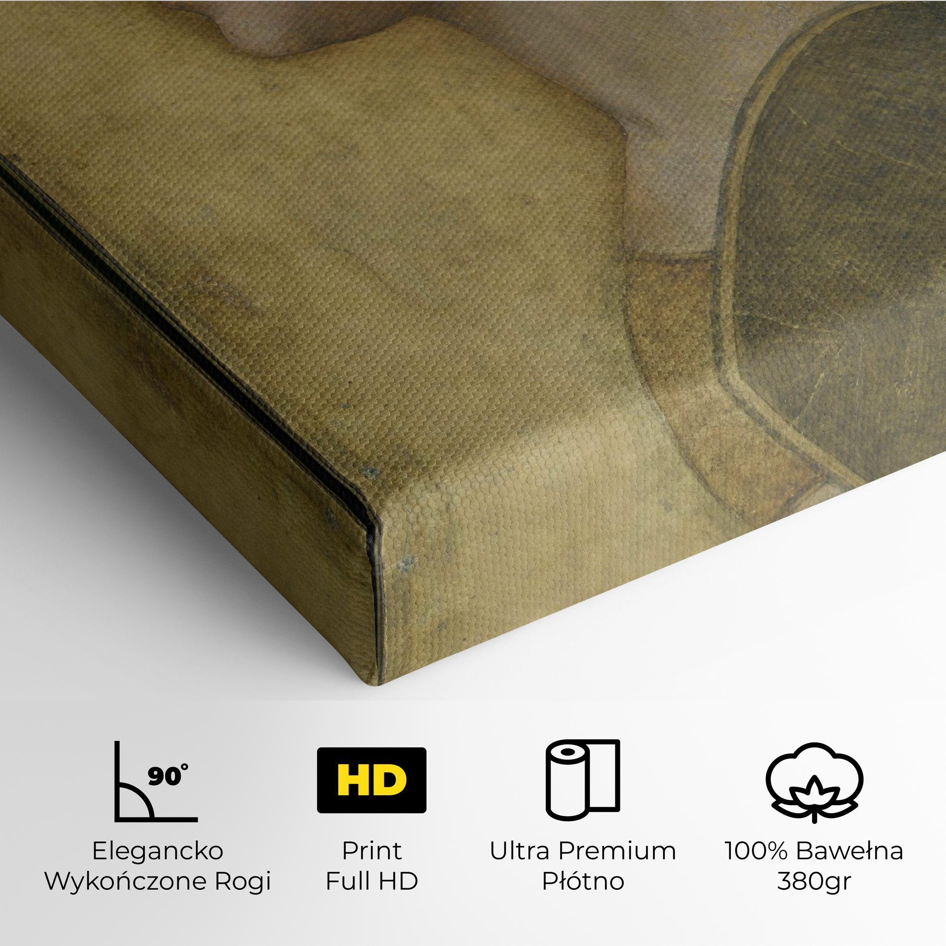 Obraz na Płótnie Profile Of A Young Fiancee Da Vinci mockup 4