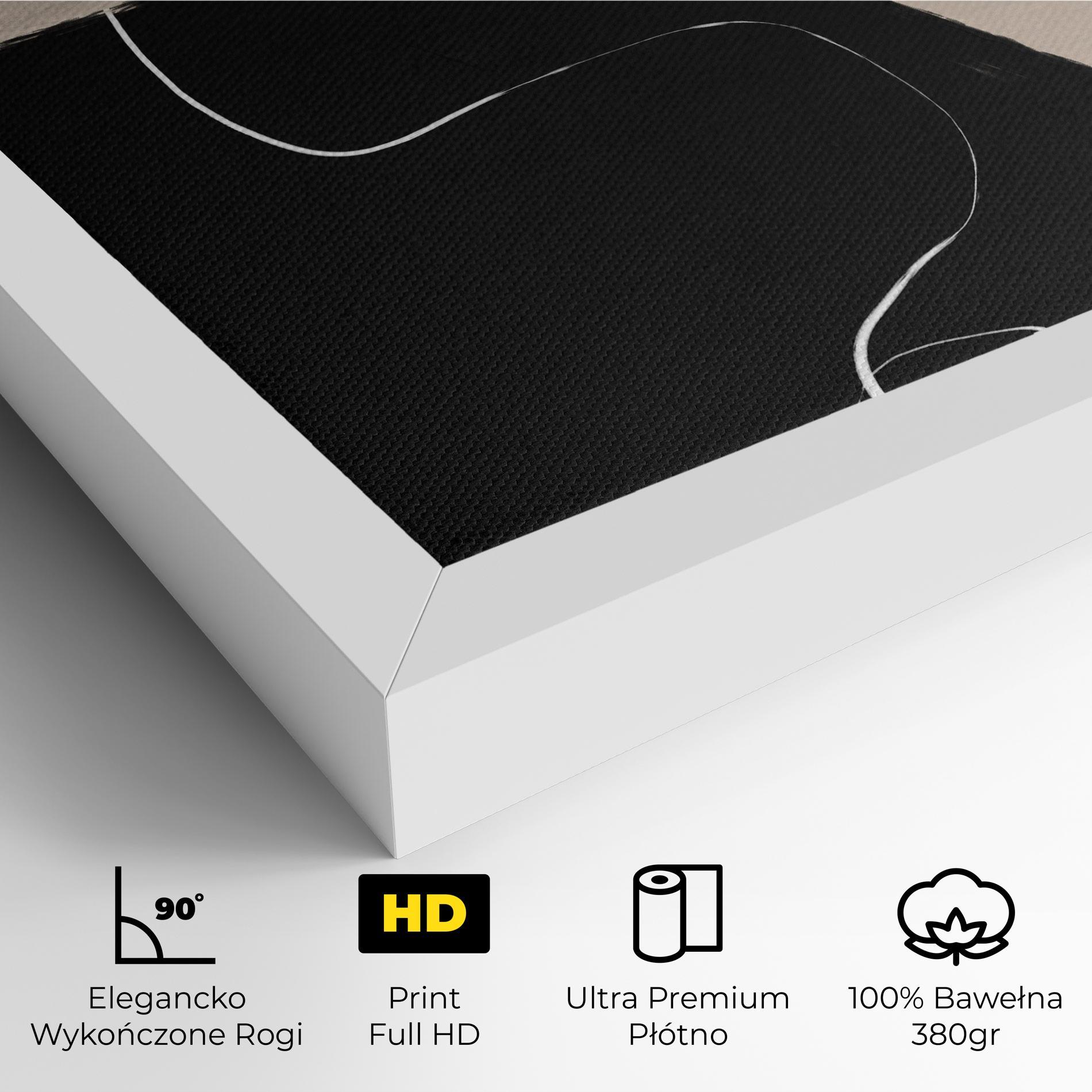 Obraz na Płótnie Black Brushstrokes mockup 4