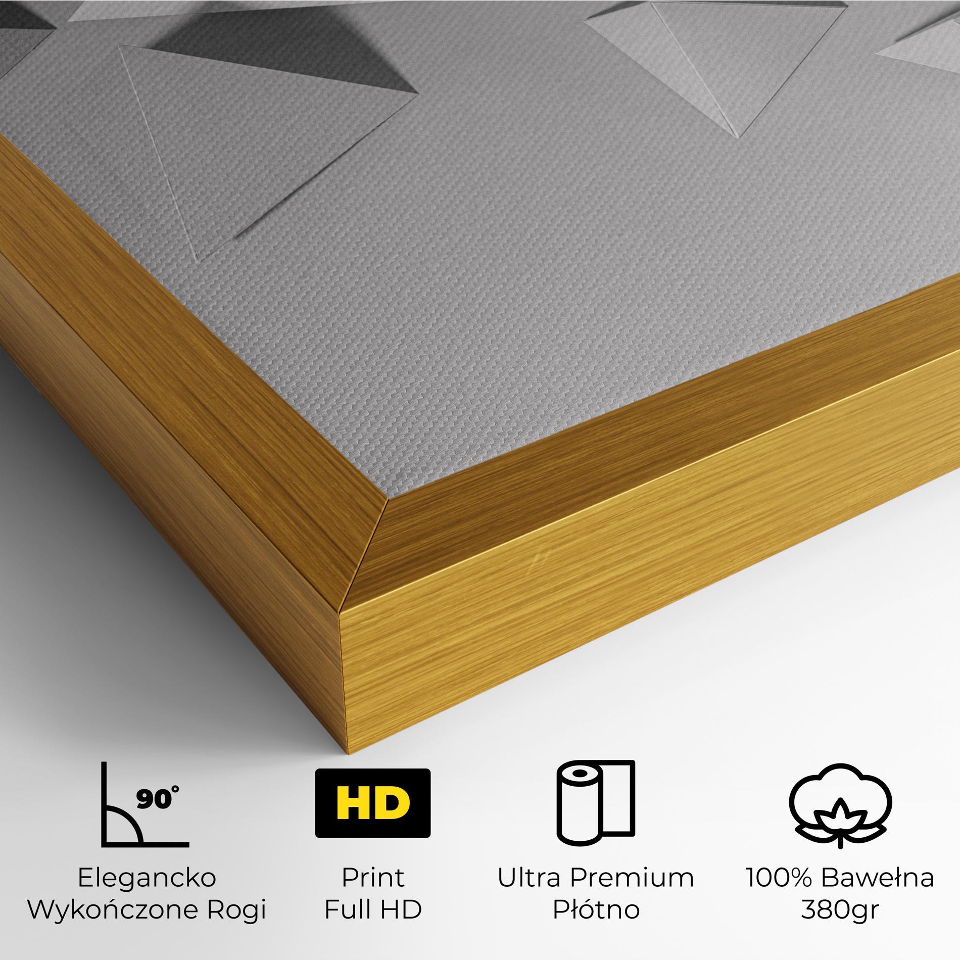 Obraz na Płótnie 3d White Triangle mockup 4