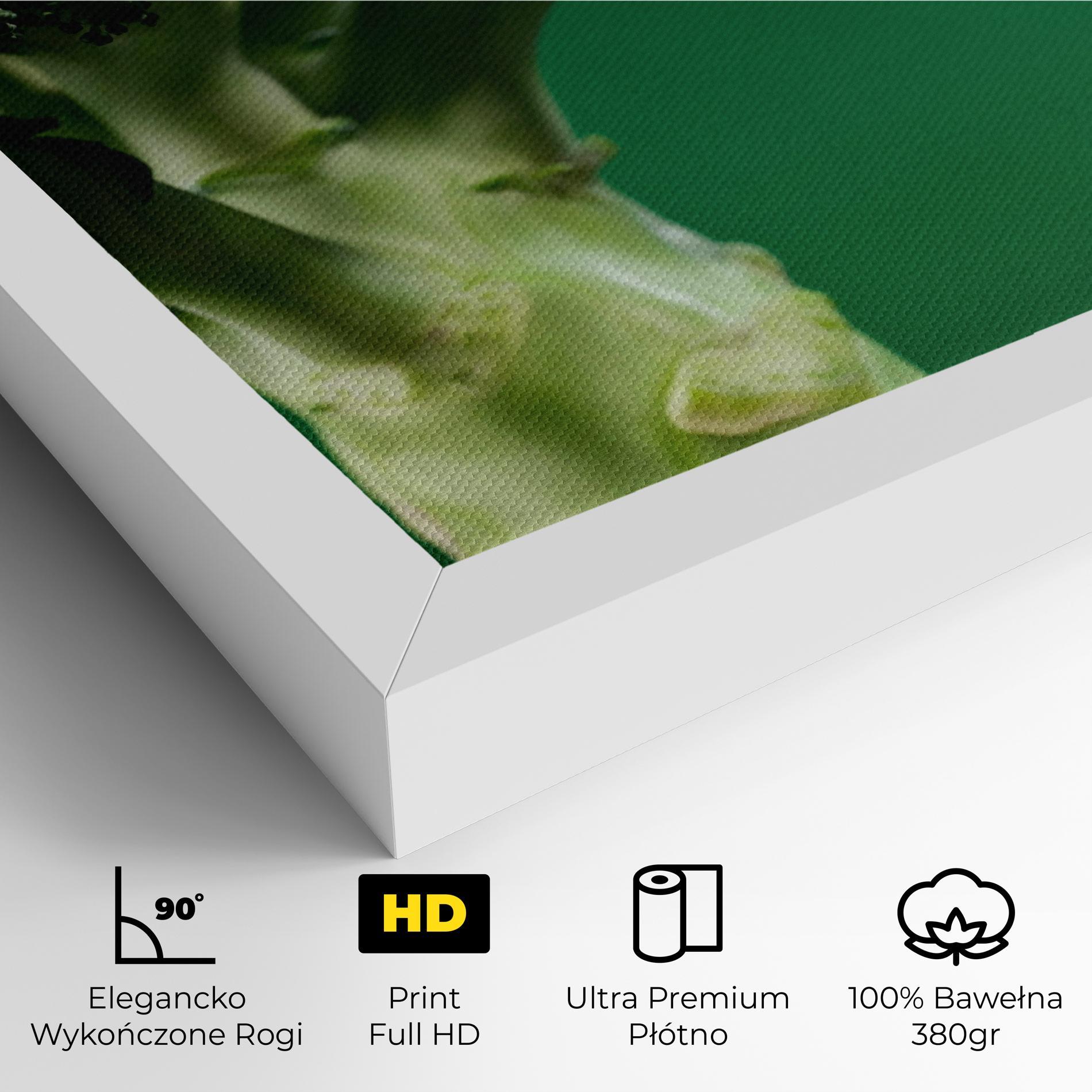 Obraz na Płótnie Broccoli mockup 4