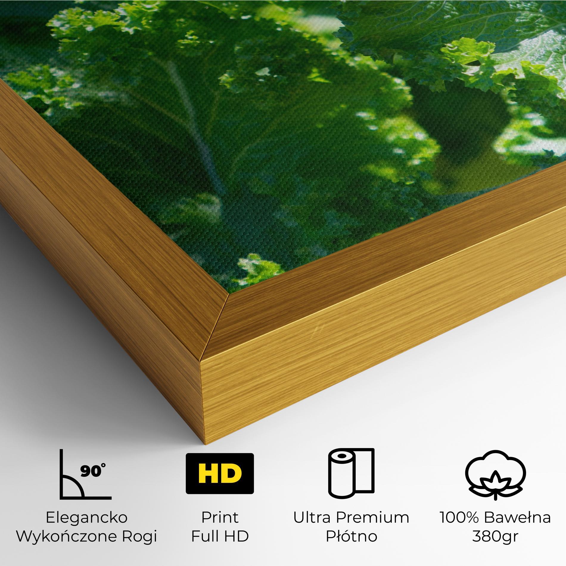 Obraz na Płótnie Lettuce View mockup 4