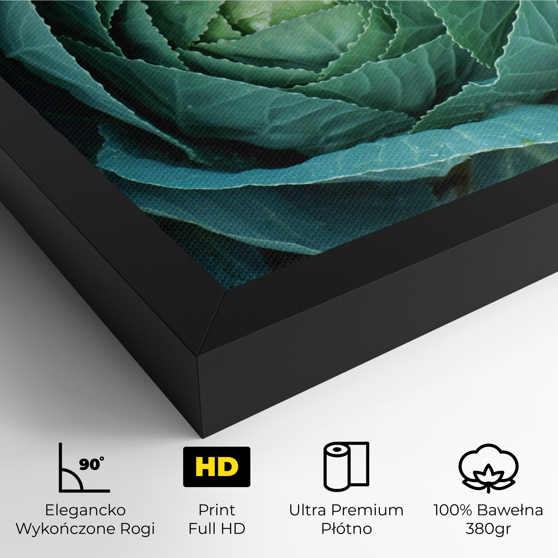 Obraz na Płótnie Blue Lettuce mockup 4