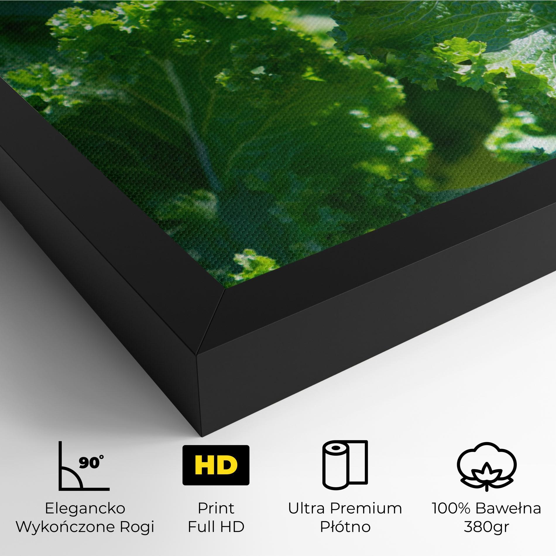 Obraz na Płótnie Lettuce View mockup 4