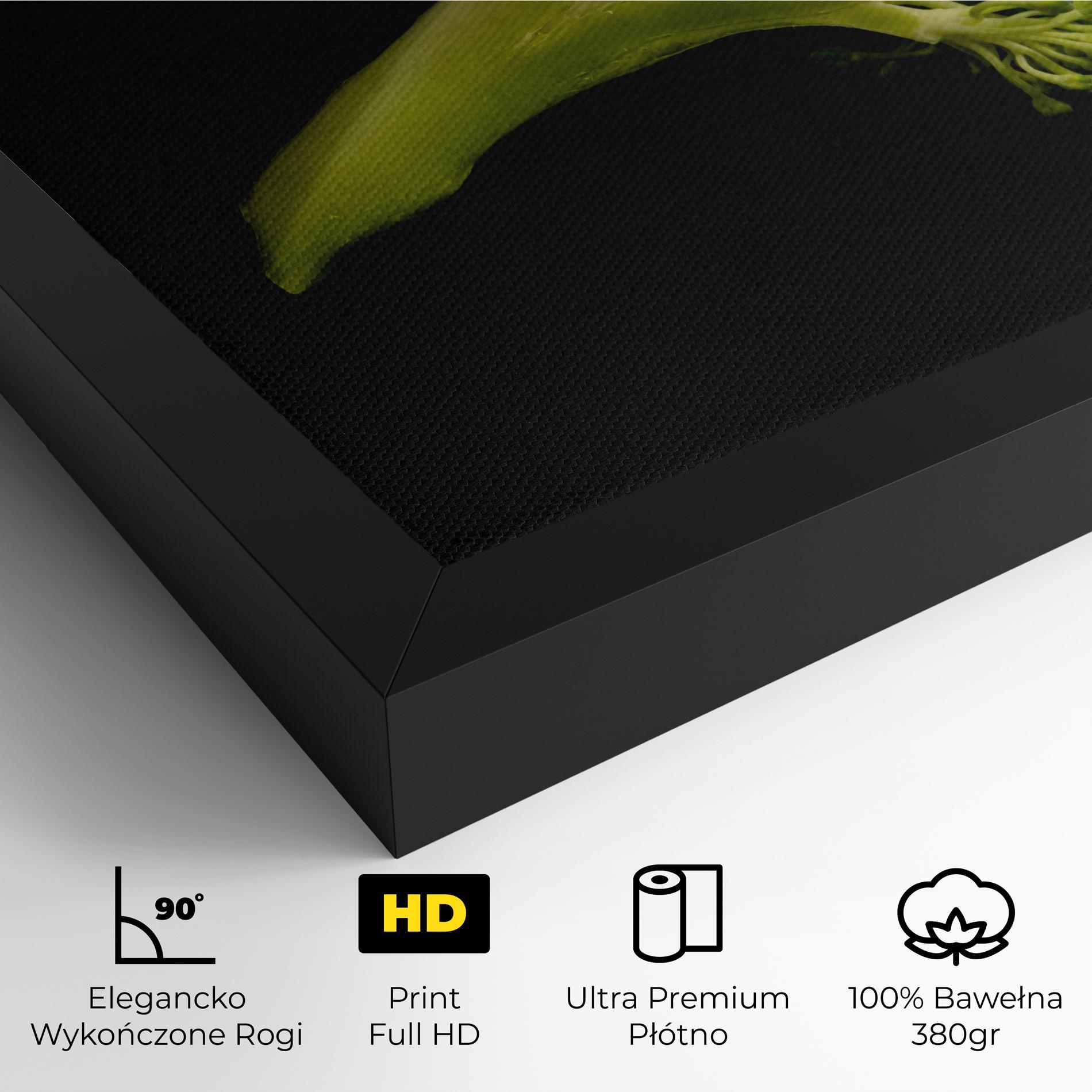 Obraz na Płótnie Nice Broccoli mockup 4