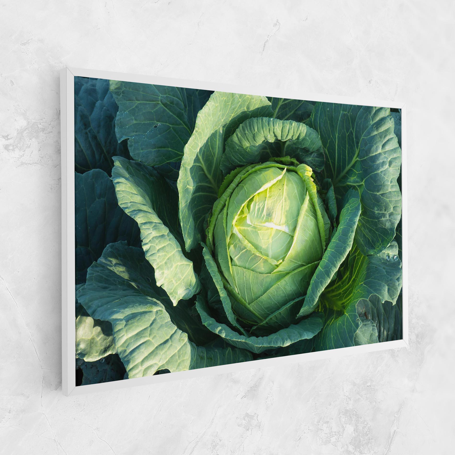 Obraz na Płótnie Green Lettuce mockup 1