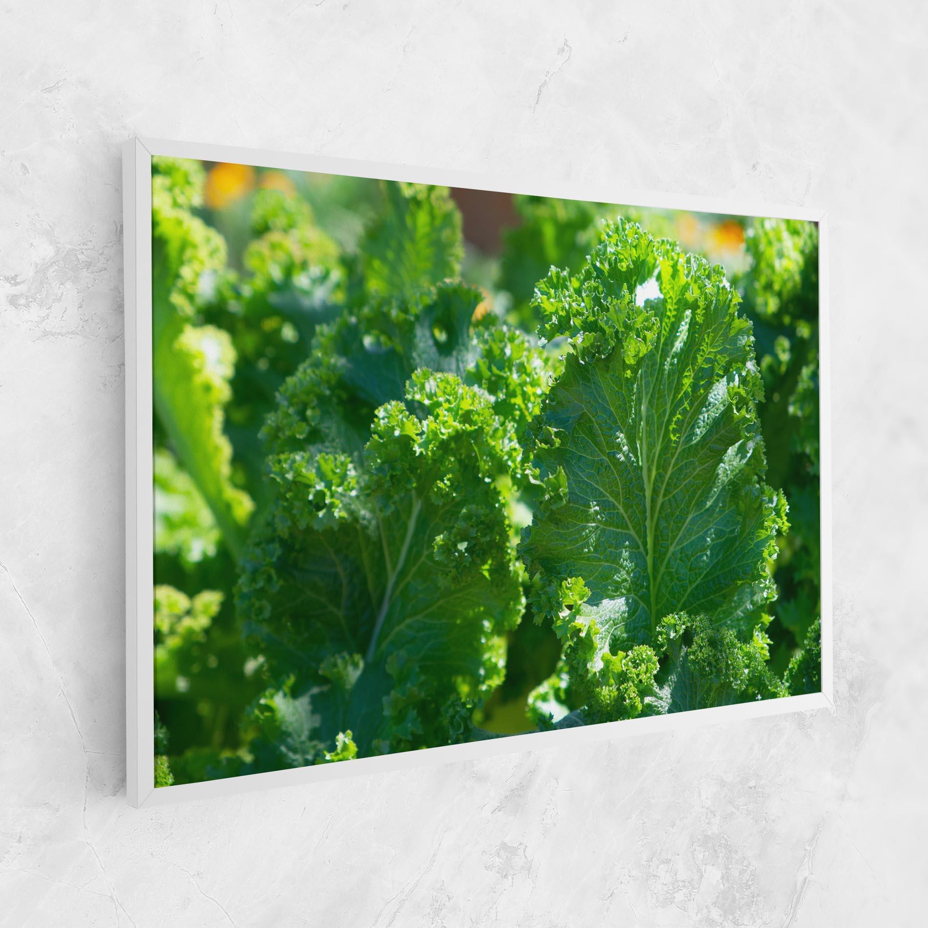 Obraz na Płótnie Lettuce View mockup 1