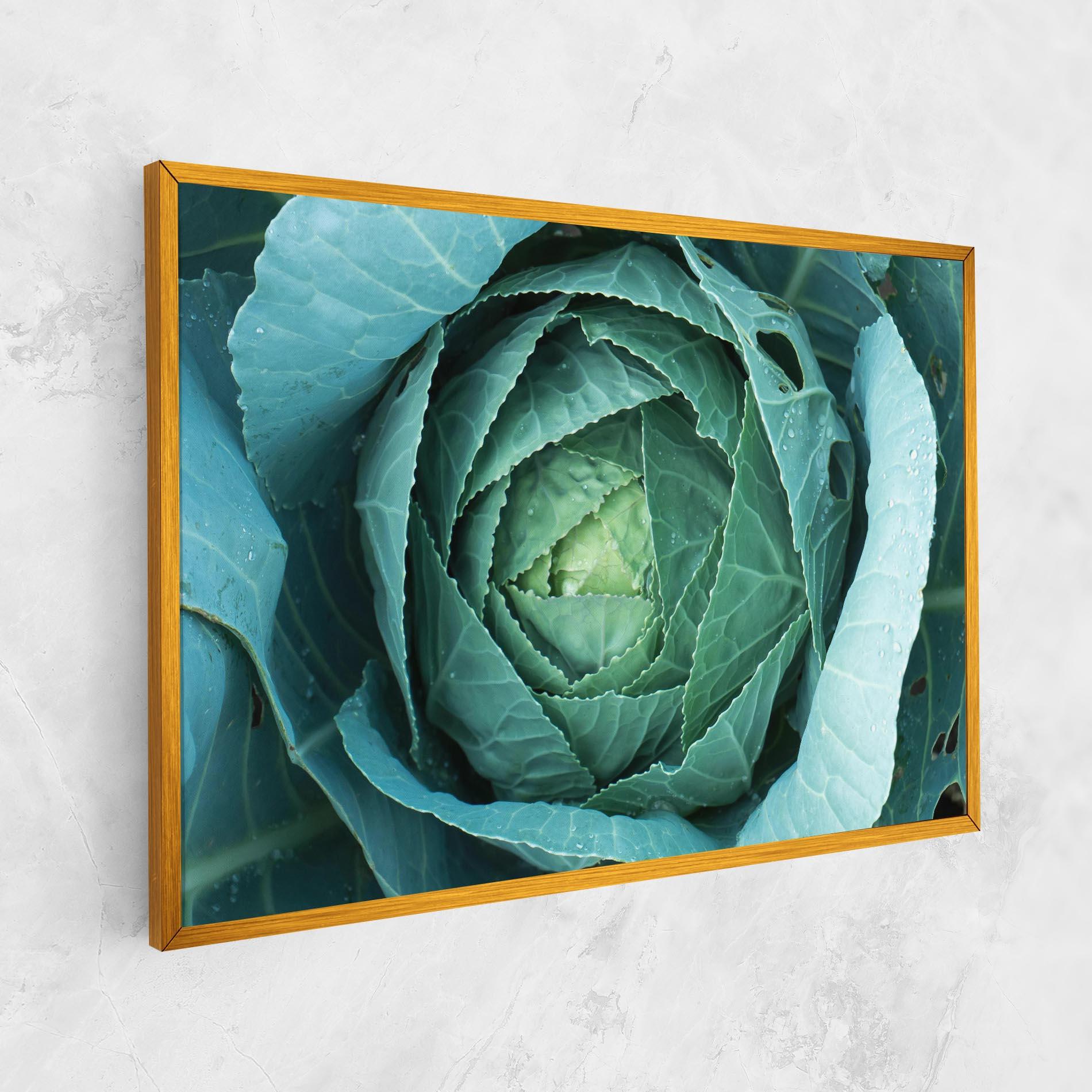 Obraz na Płótnie Blue Lettuce mockup 1