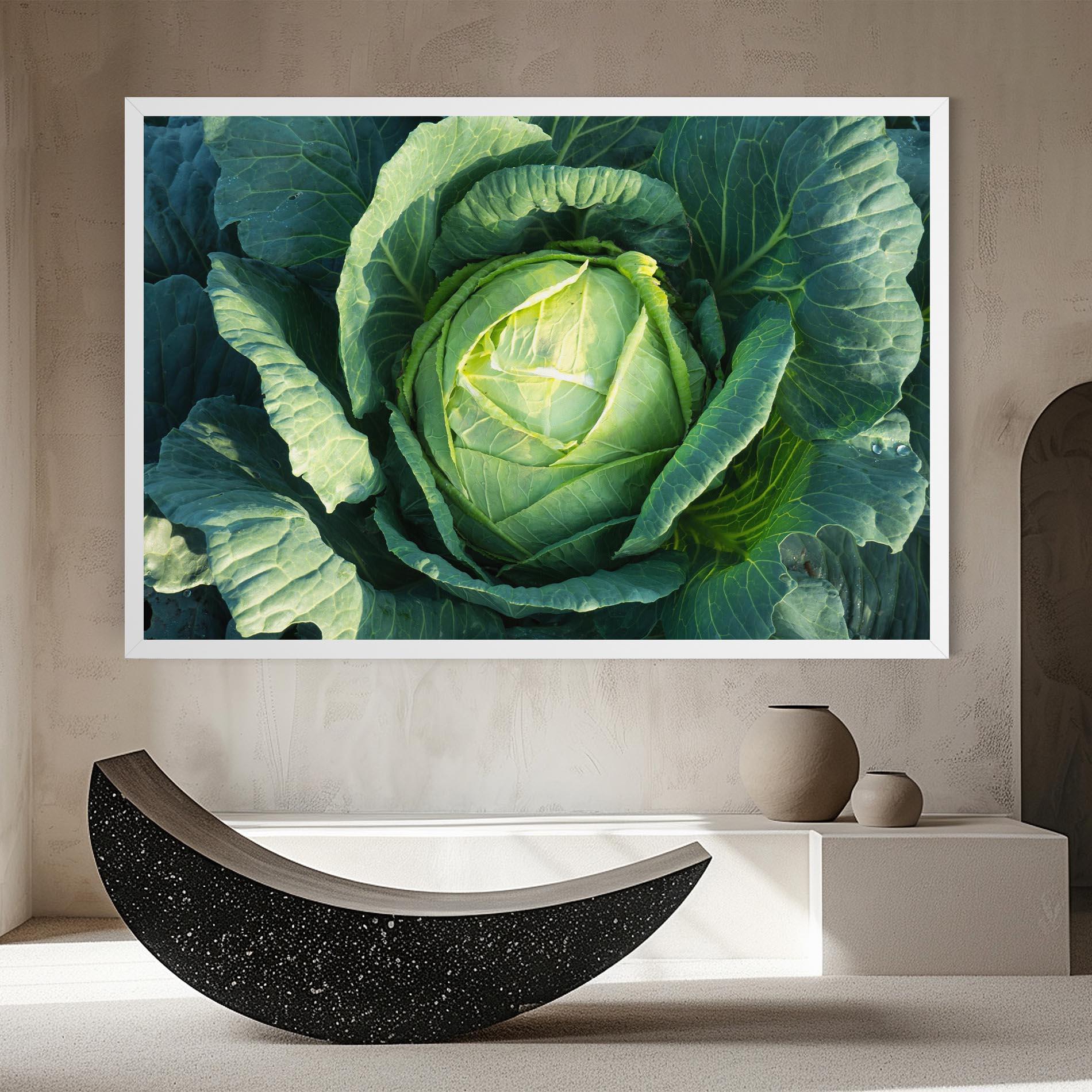 Obraz na Płótnie Green Lettuce mockup 8