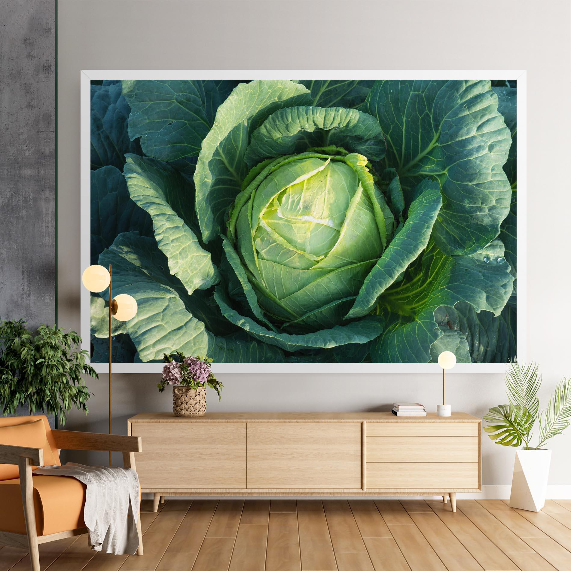 Obraz na Płótnie Green Lettuce mockup 9