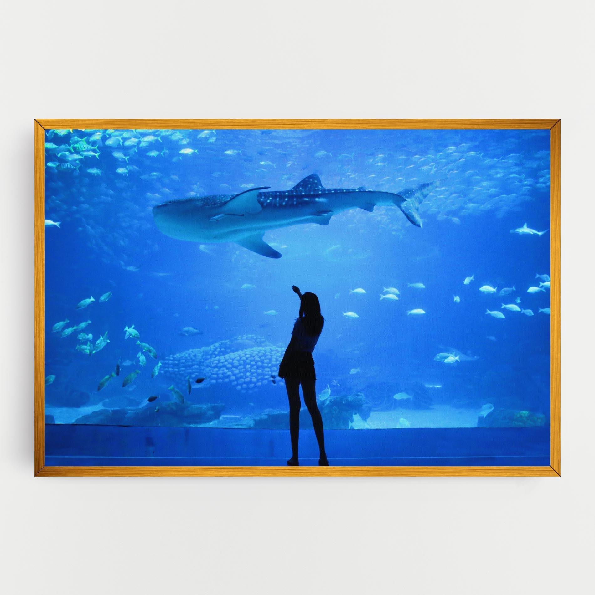 Obraz na Płótnie Aquarium Girl mockup 0