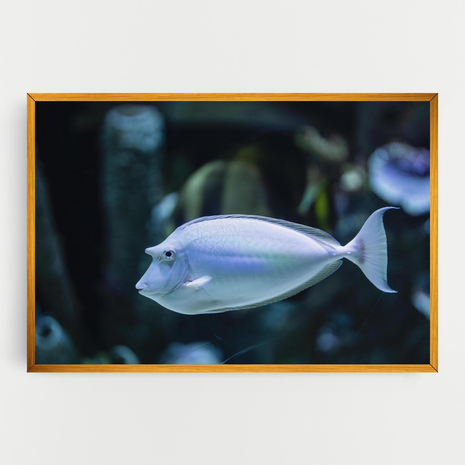 Obraz na Płótnie Funny Face Fish mockup 0