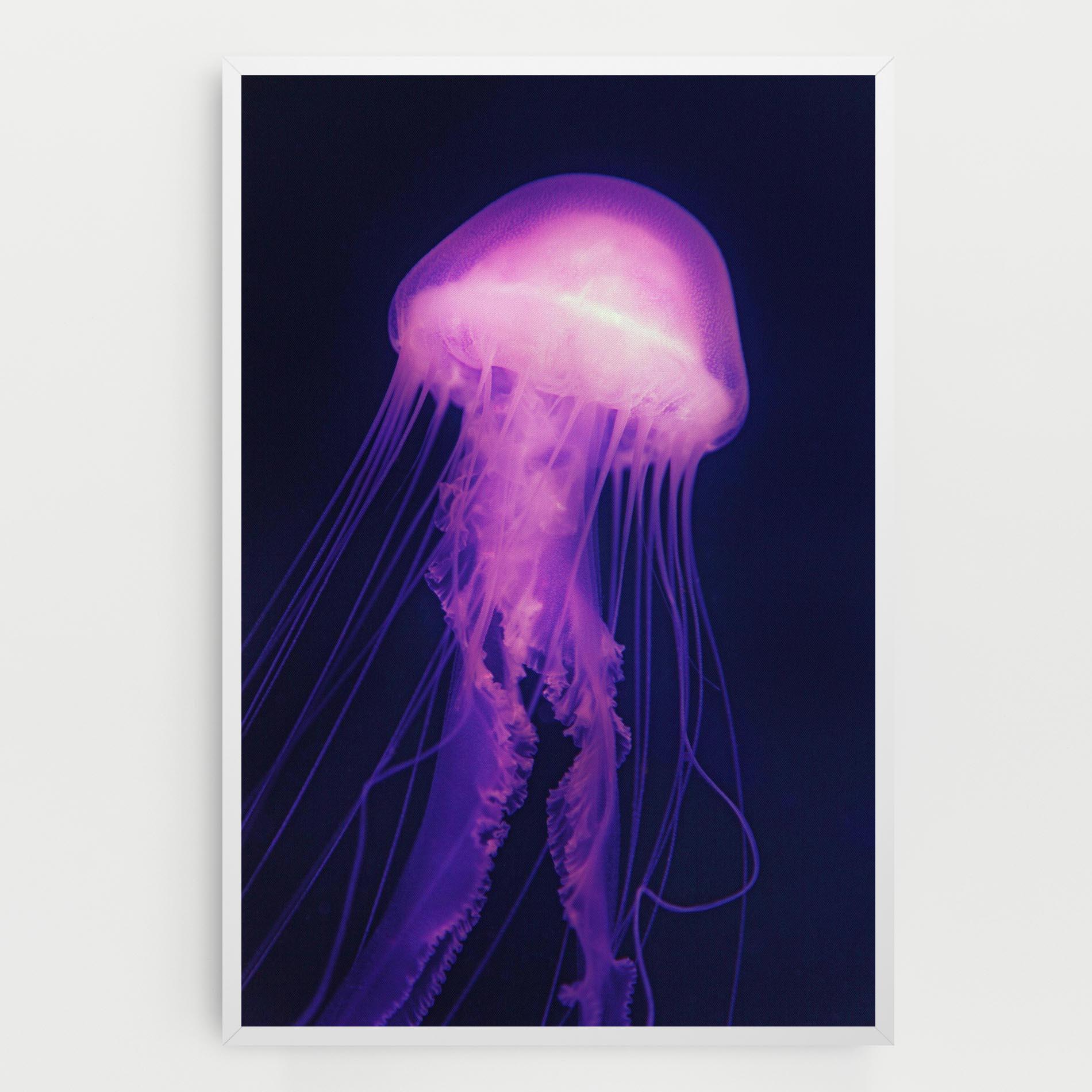 Obraz na Płótnie Light Purple Jellyfish mockup 0