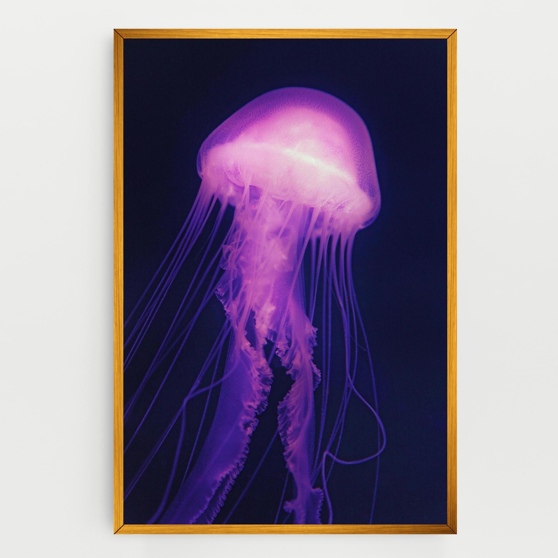 Obraz na Płótnie Light Purple Jellyfish mockup 0