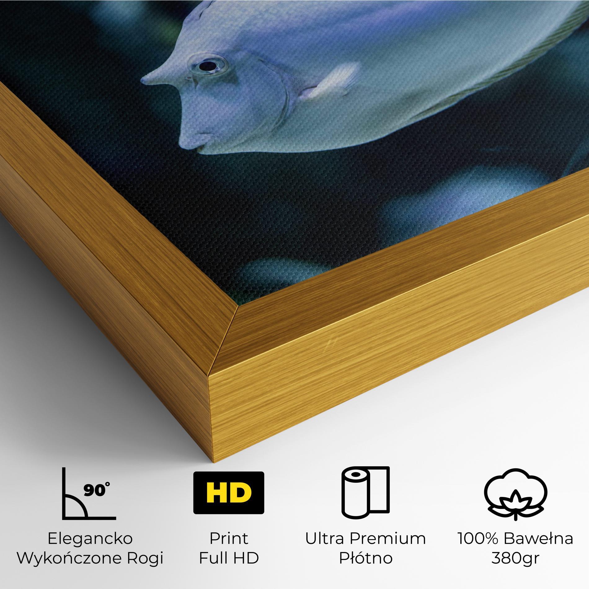 Obraz na Płótnie Funny Face Fish mockup 4