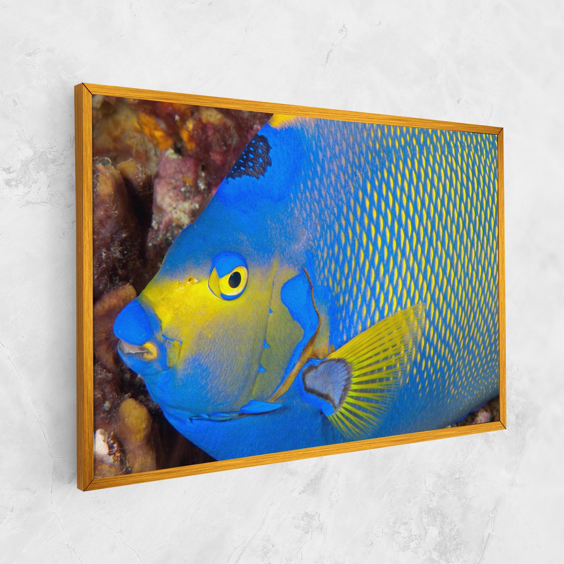 Obraz na Płótnie Blue Yellow Fish mockup 1