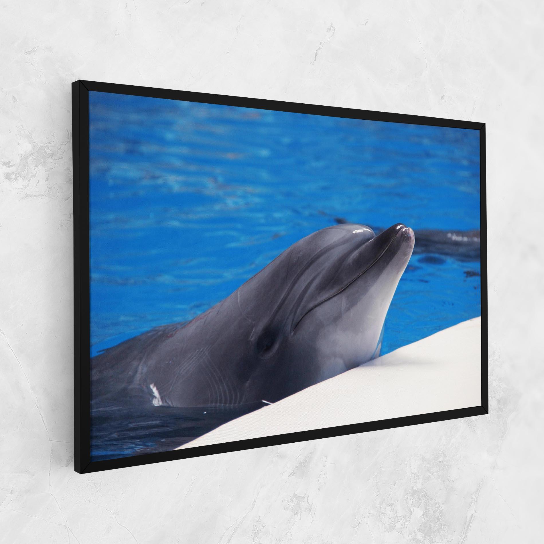 Obraz na Płótnie Cute Dolphin mockup 1