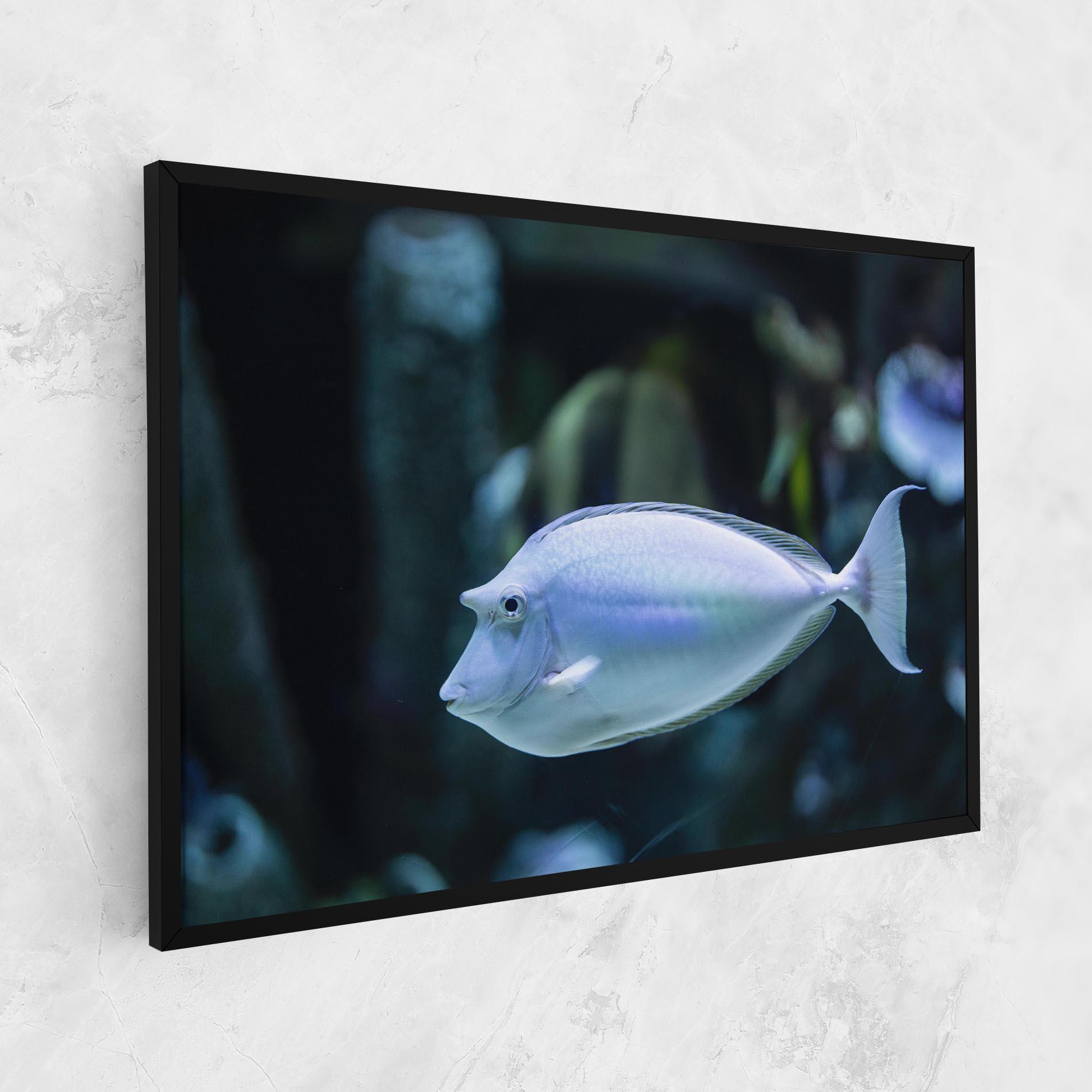 Obraz na Płótnie Funny Face Fish mockup 1