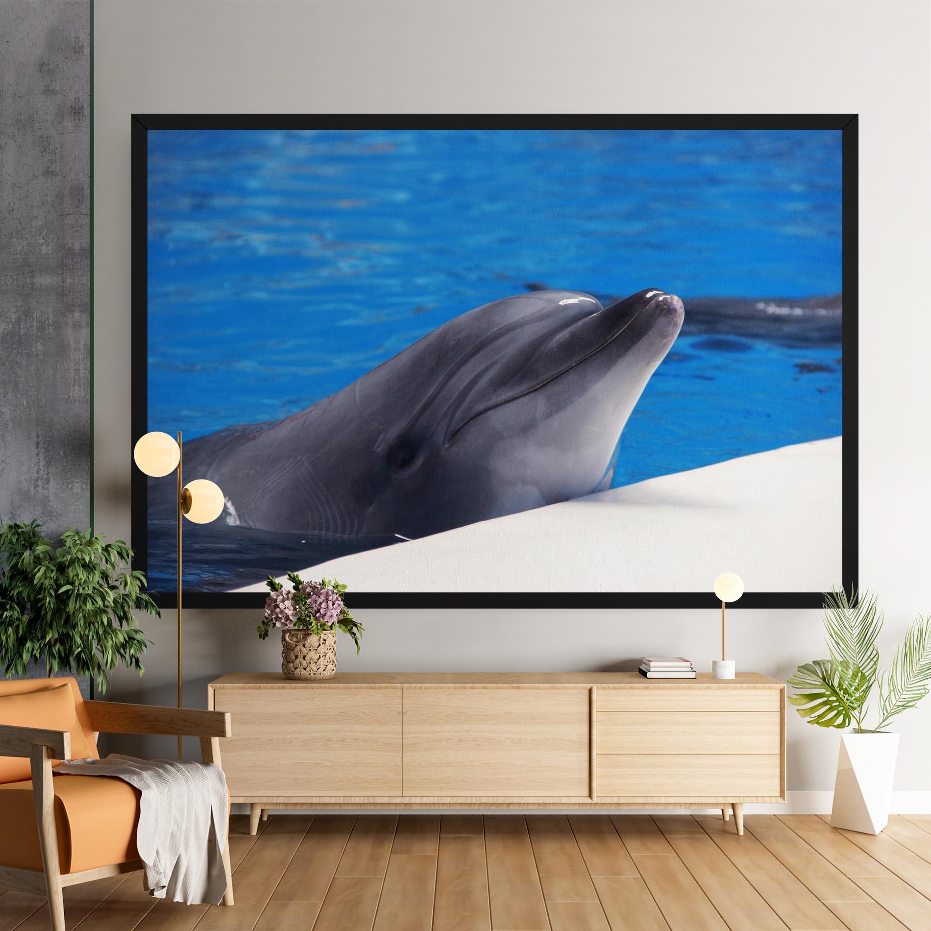 Obraz na Płótnie Cute Dolphin mockup 9