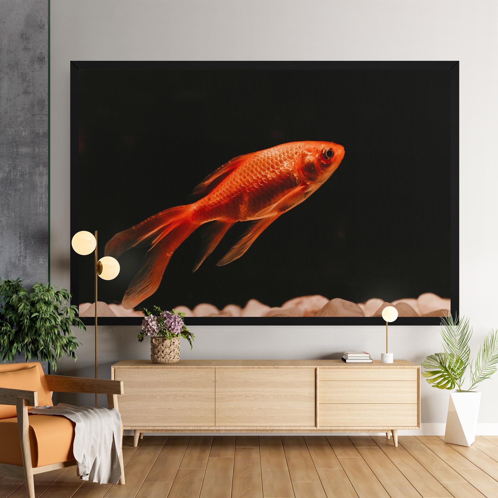 Obraz na Płótnie Small Orange Fish mockup 9