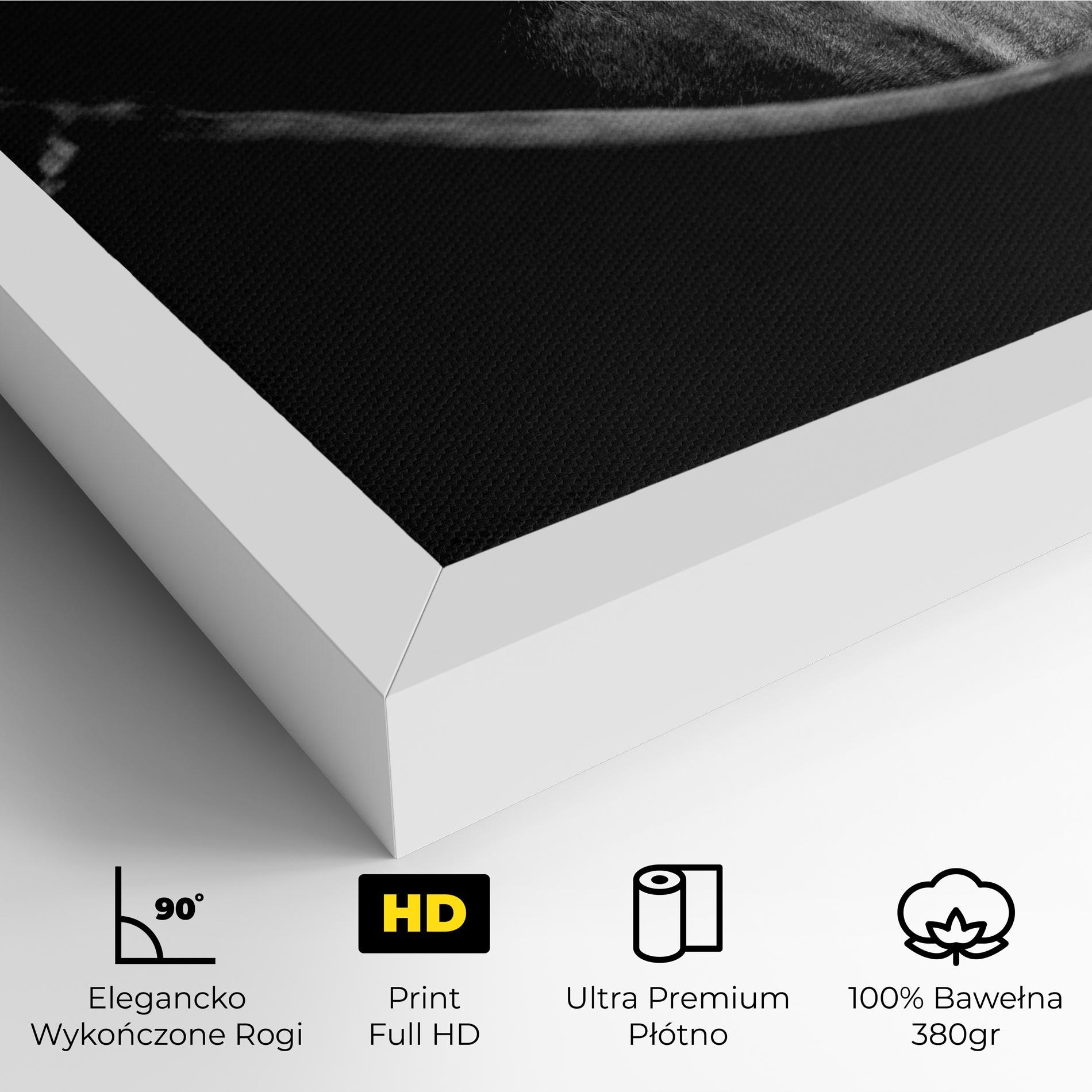 Obraz na Płótnie Black Horse Looking mockup 4