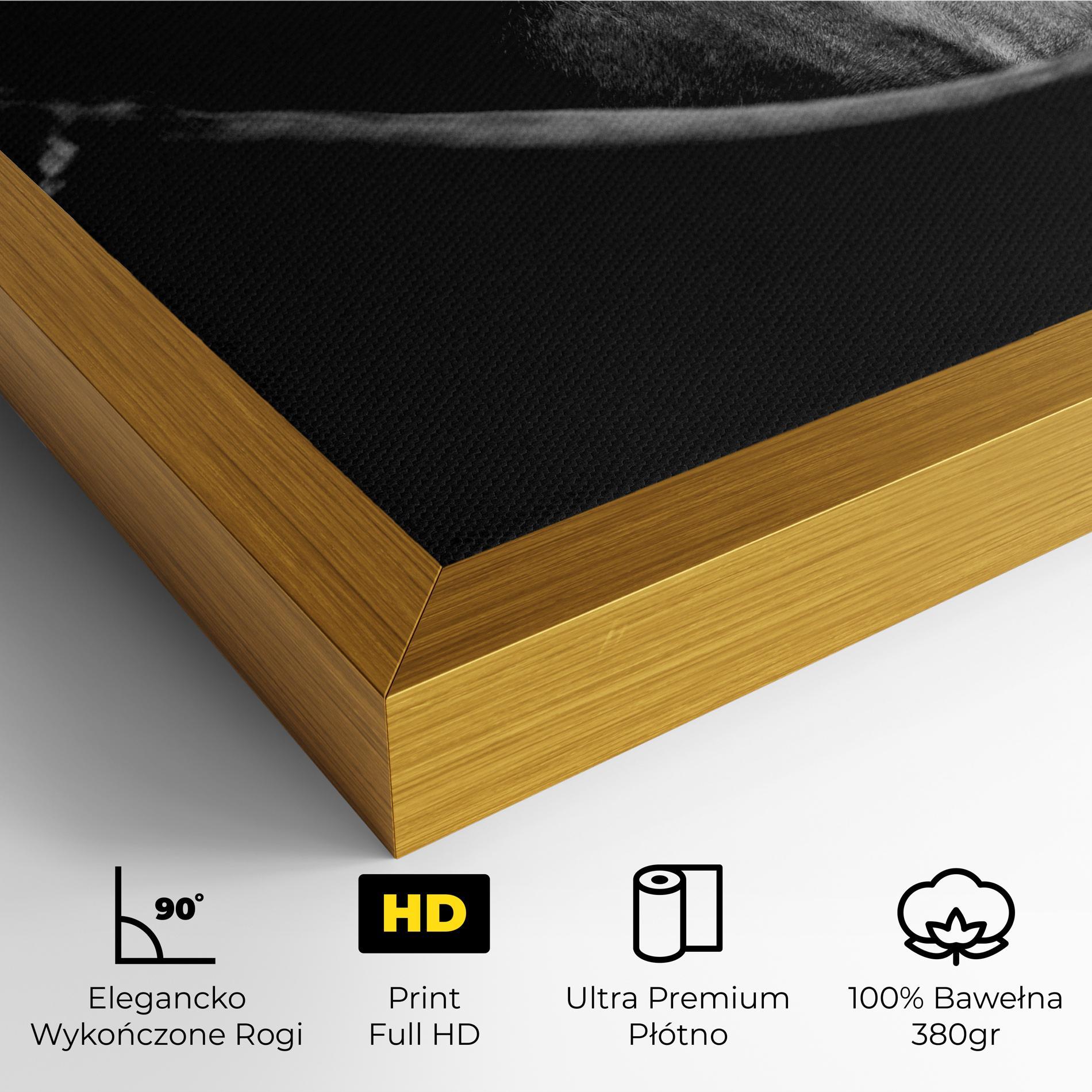 Obraz na Płótnie Black Horse Looking mockup 4