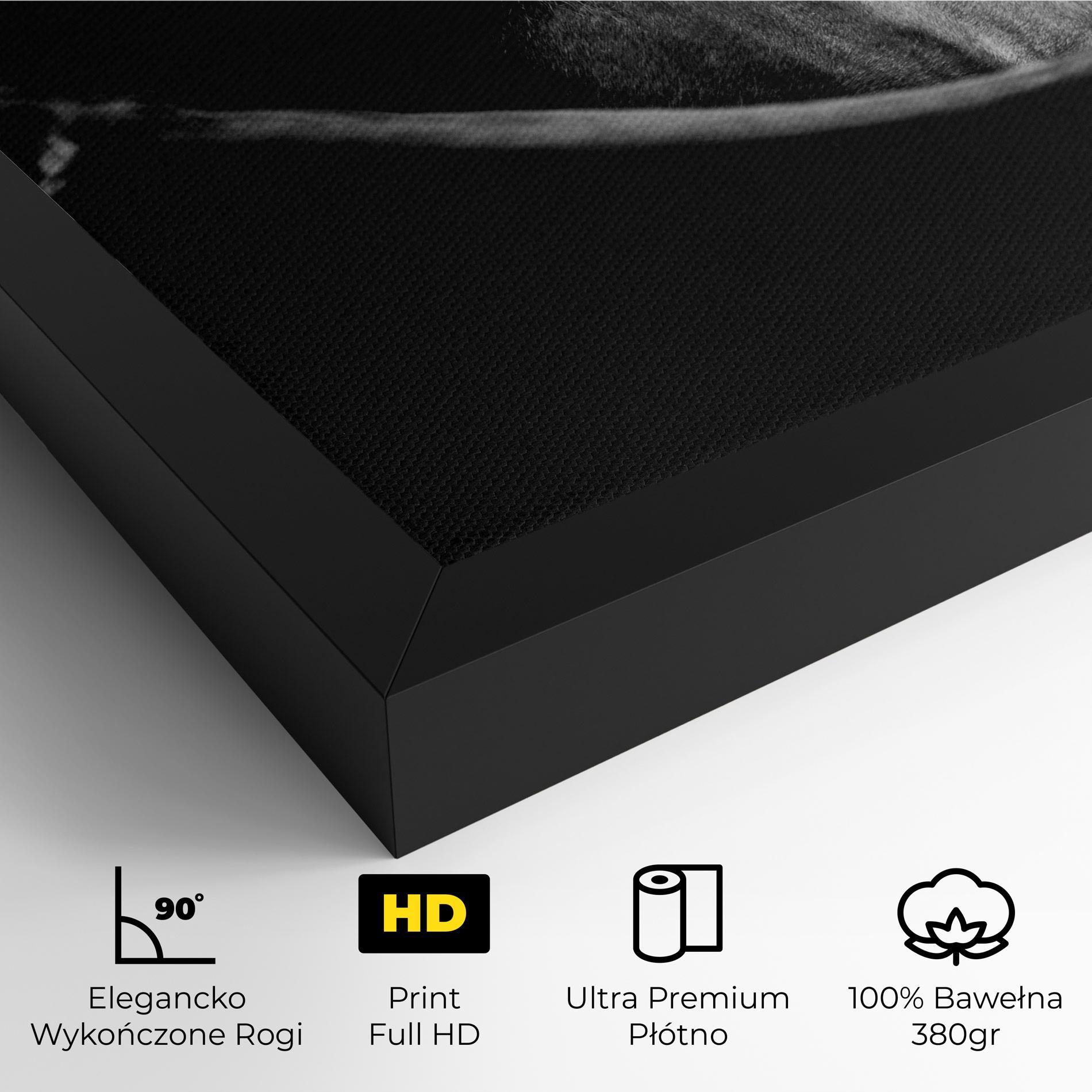 Obraz na Płótnie Black Horse Looking mockup 4