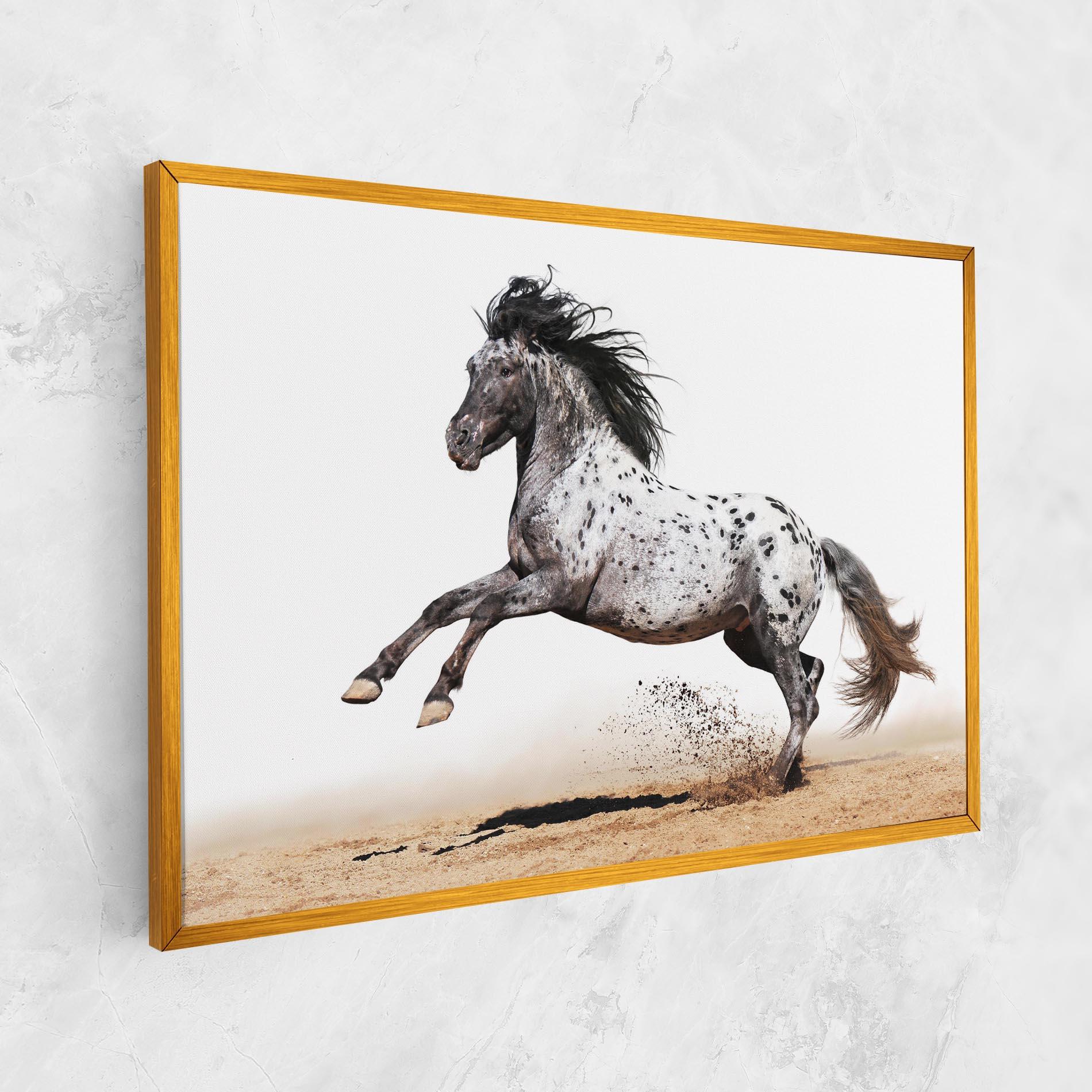 Obraz na Płótnie Appaloosa Horse Running mockup 1