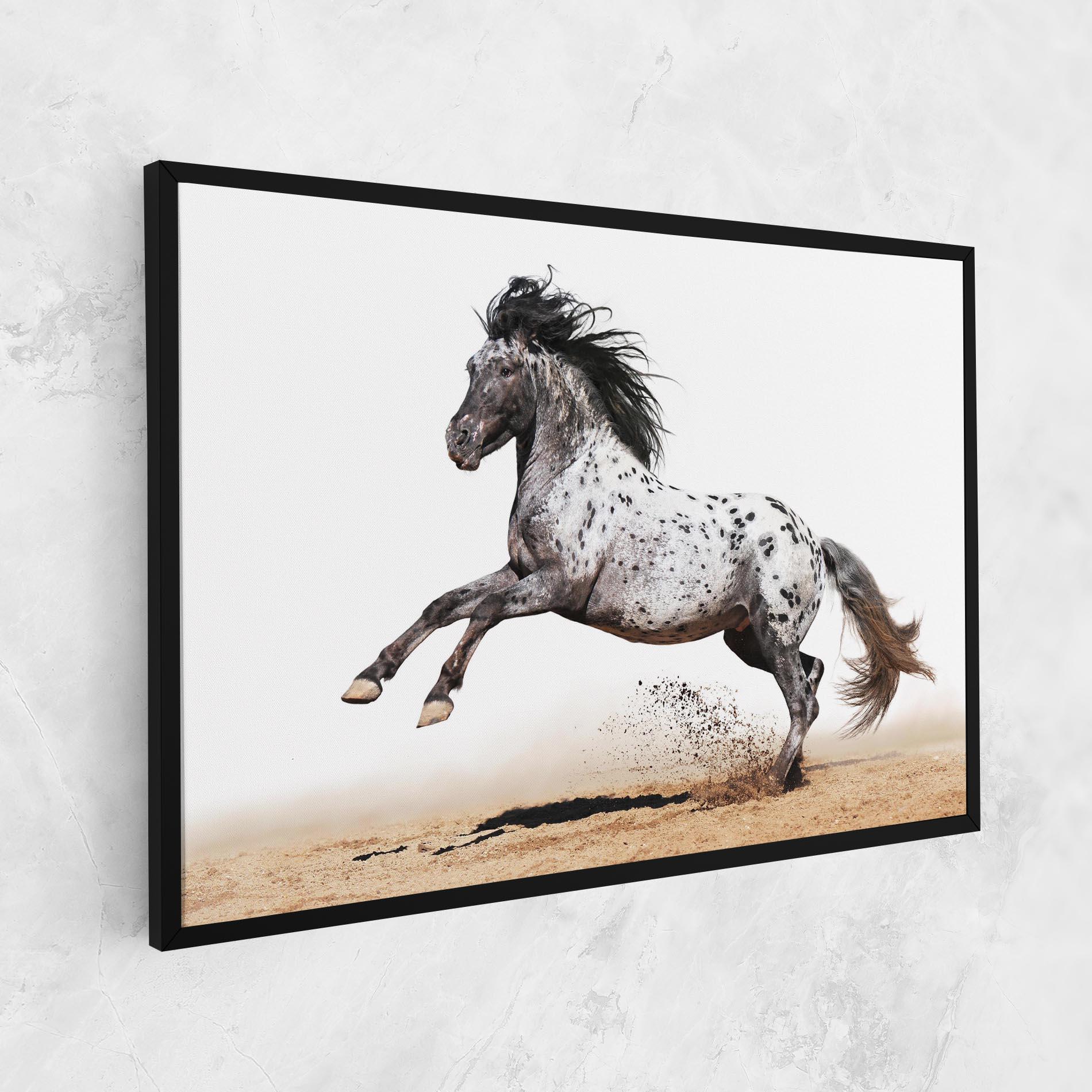 Obraz na Płótnie Appaloosa Horse Running mockup 1