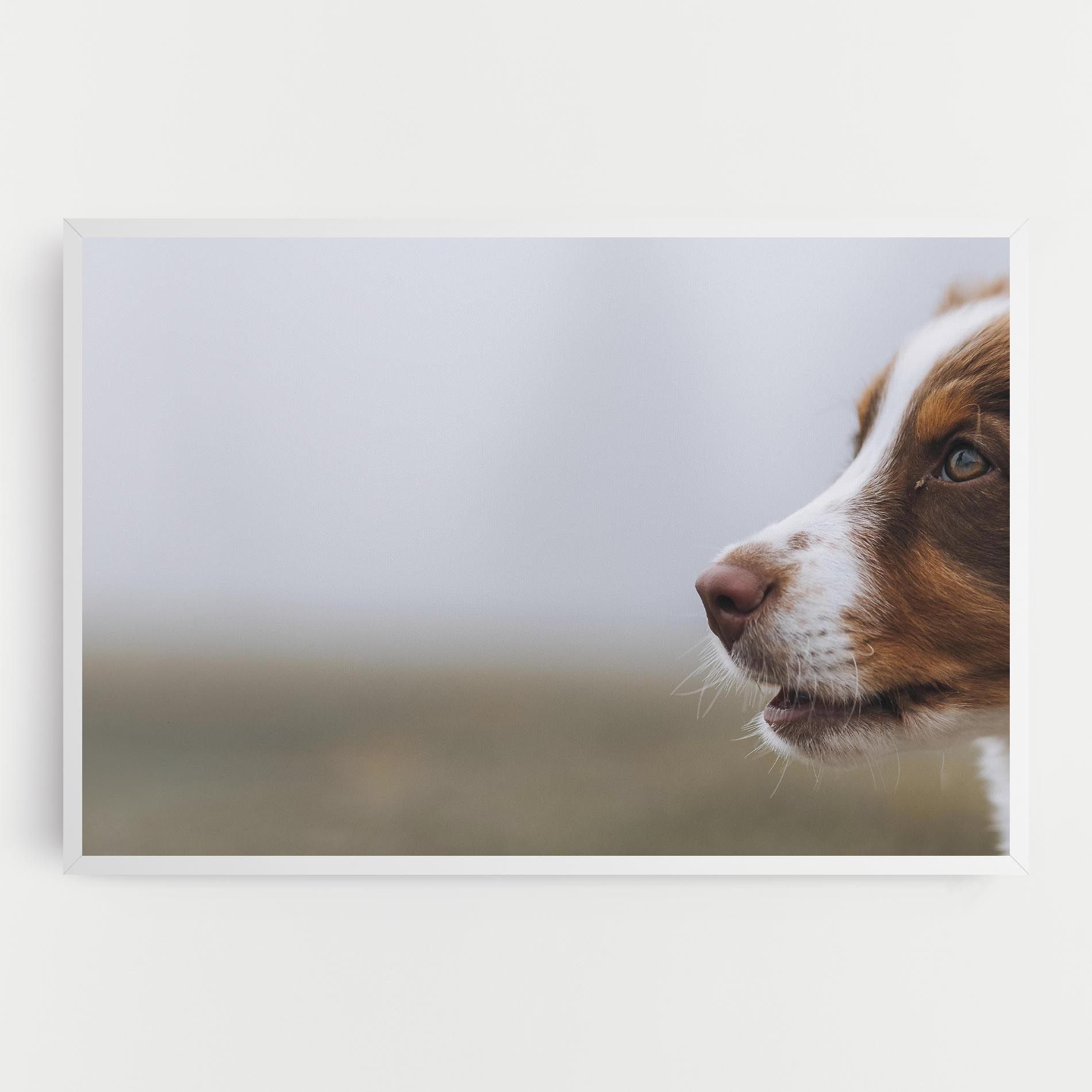 Brown White Dog mockup 0