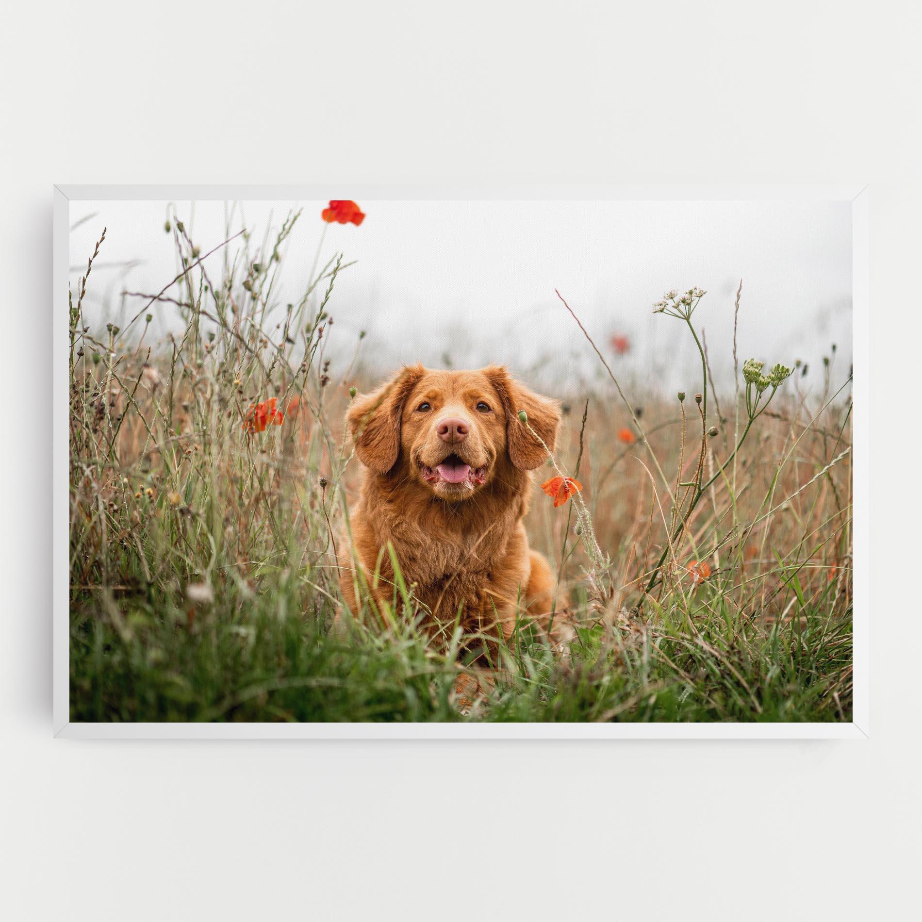 Obraz na Płótnie Red Flowers Dog mockup 0