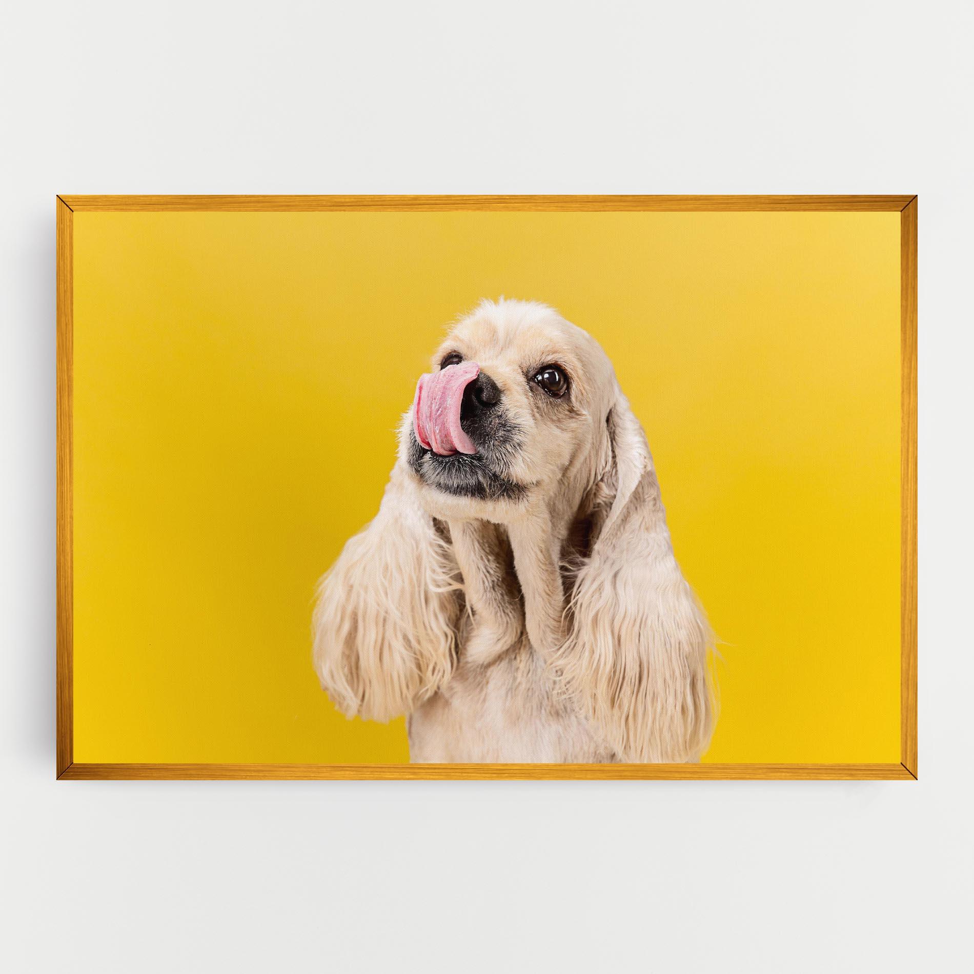 Obraz na Płótnie American Spaniel mockup 0