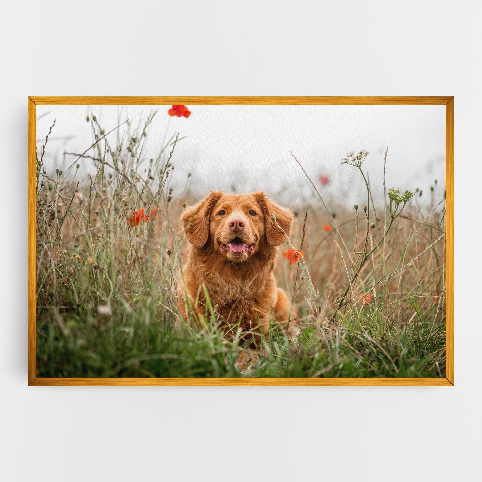 Obraz na Płótnie Red Flowers Dog mockup 0