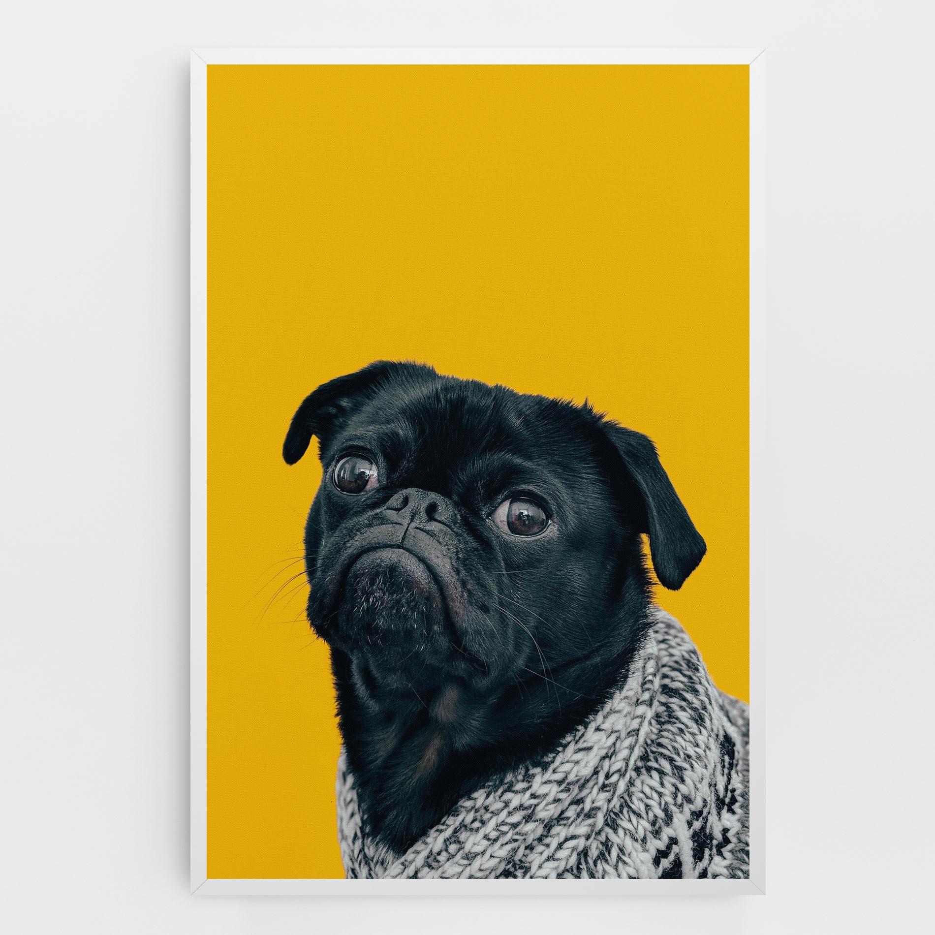 Obraz na Płótnie Black Pug mockup 0