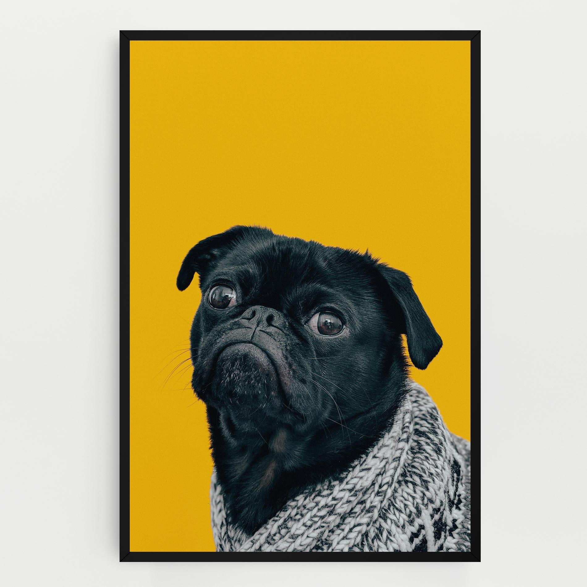 Obraz na Płótnie Black Pug mockup 0