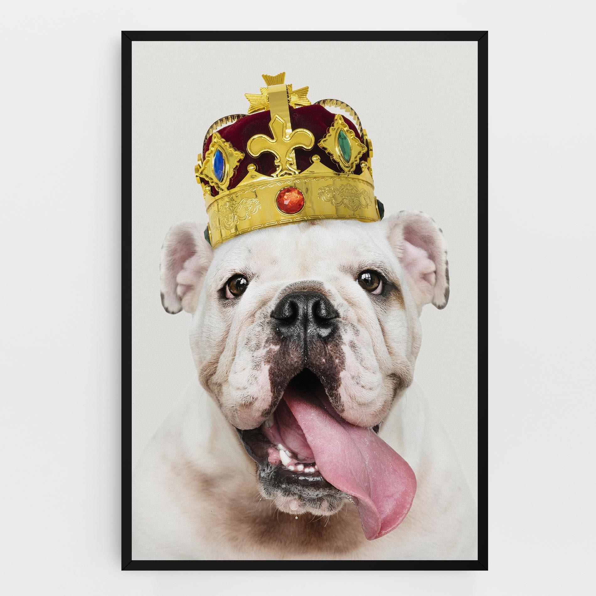 Obraz na Płótnie Bulldog Wearing Crown mockup 0